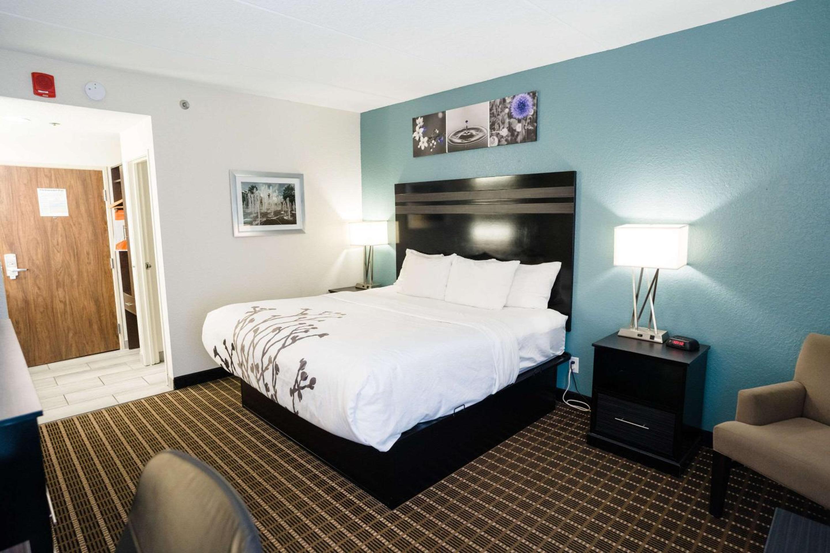 King Room - Non-Smoking - Photo 4