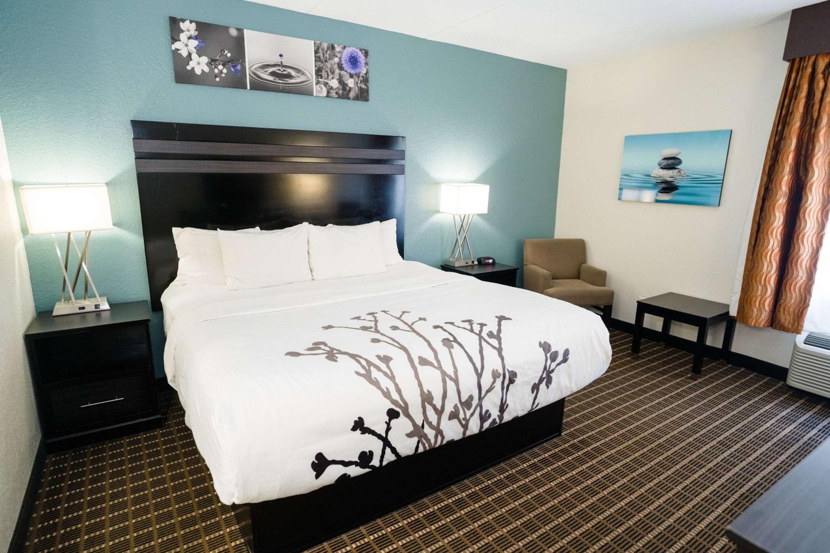 King Room - Non-Smoking - Photo 5