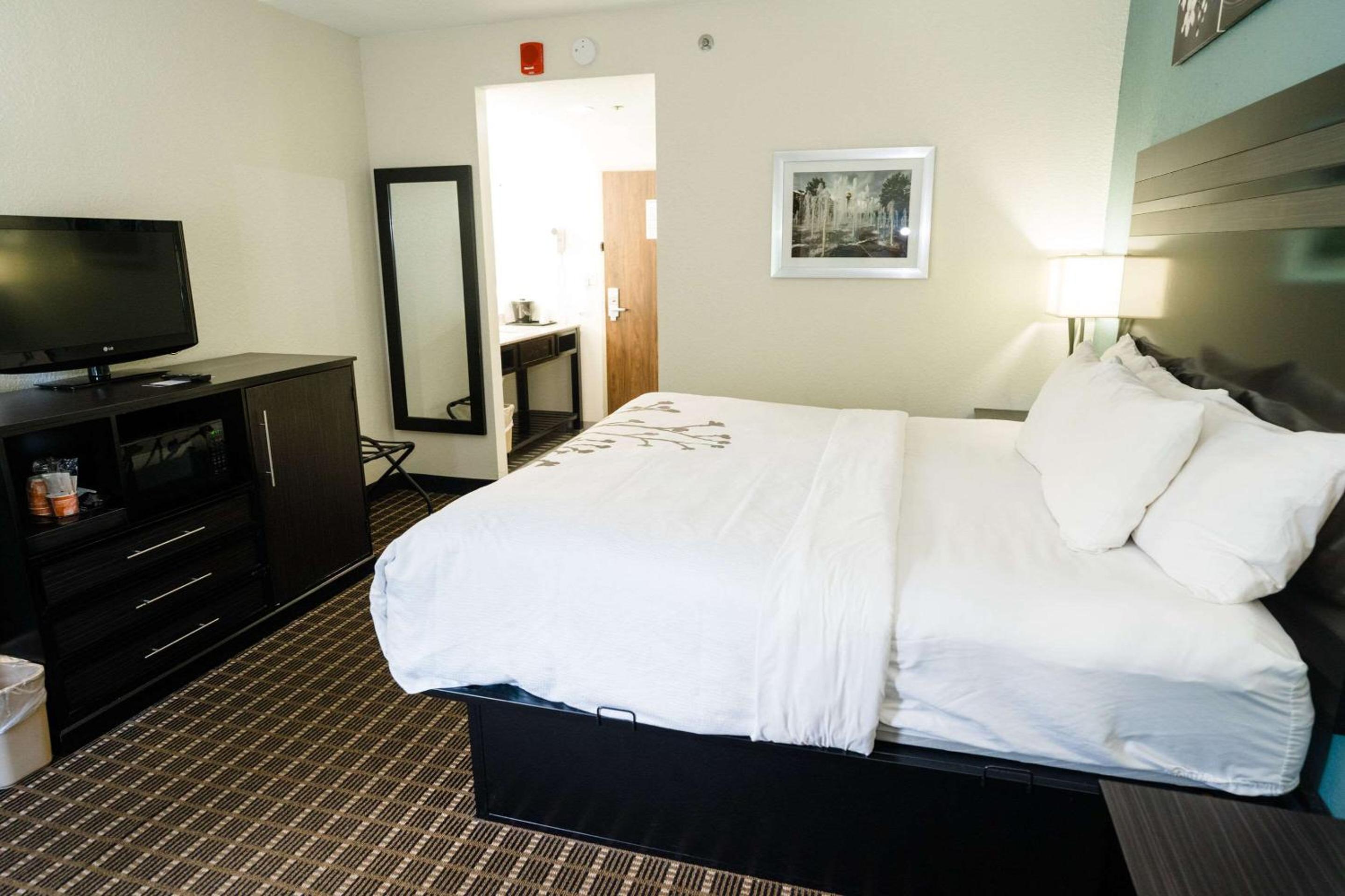 King Room - Non-Smoking - Photo 6