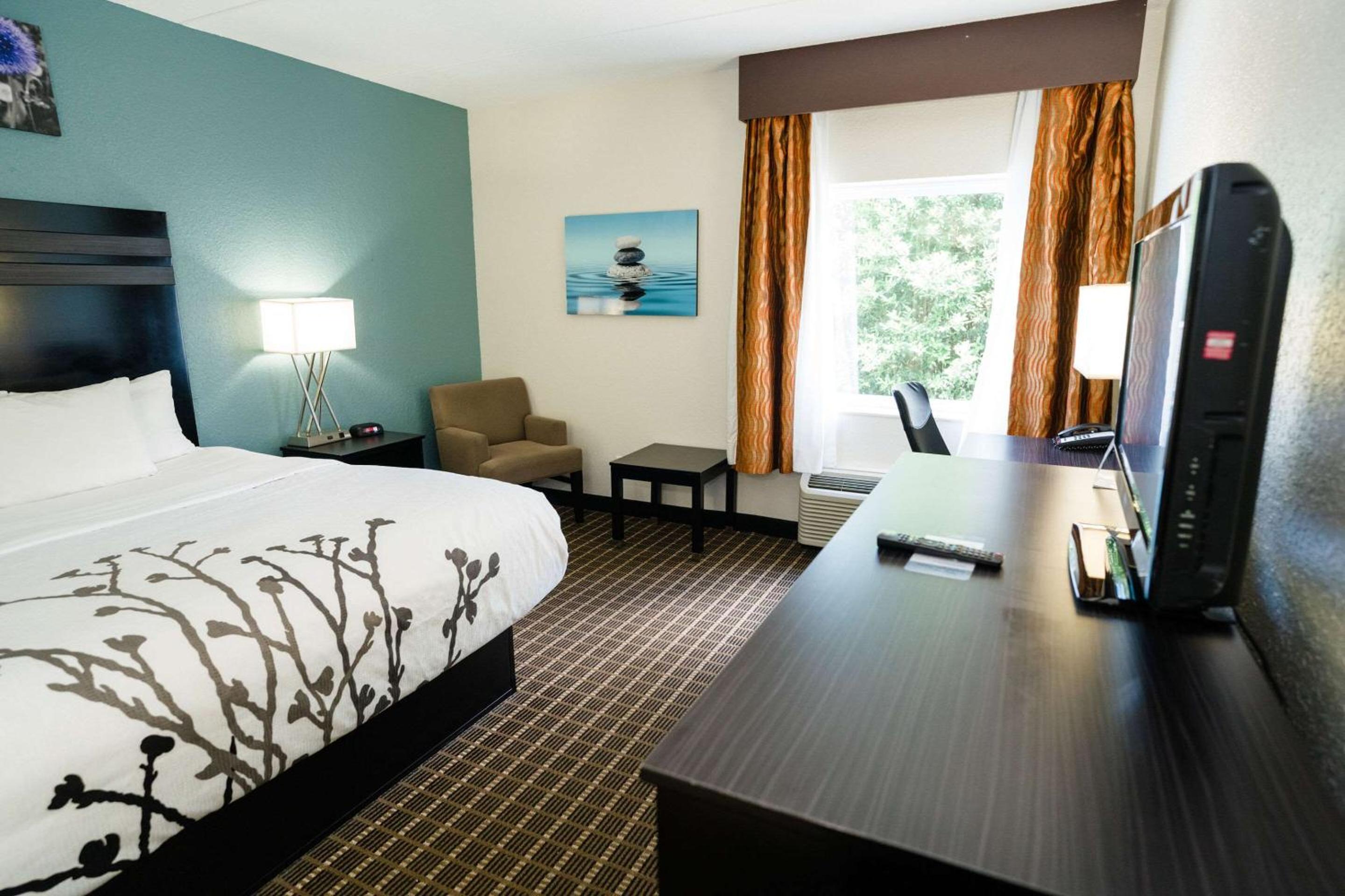 King Room - Non-Smoking - Photo 7