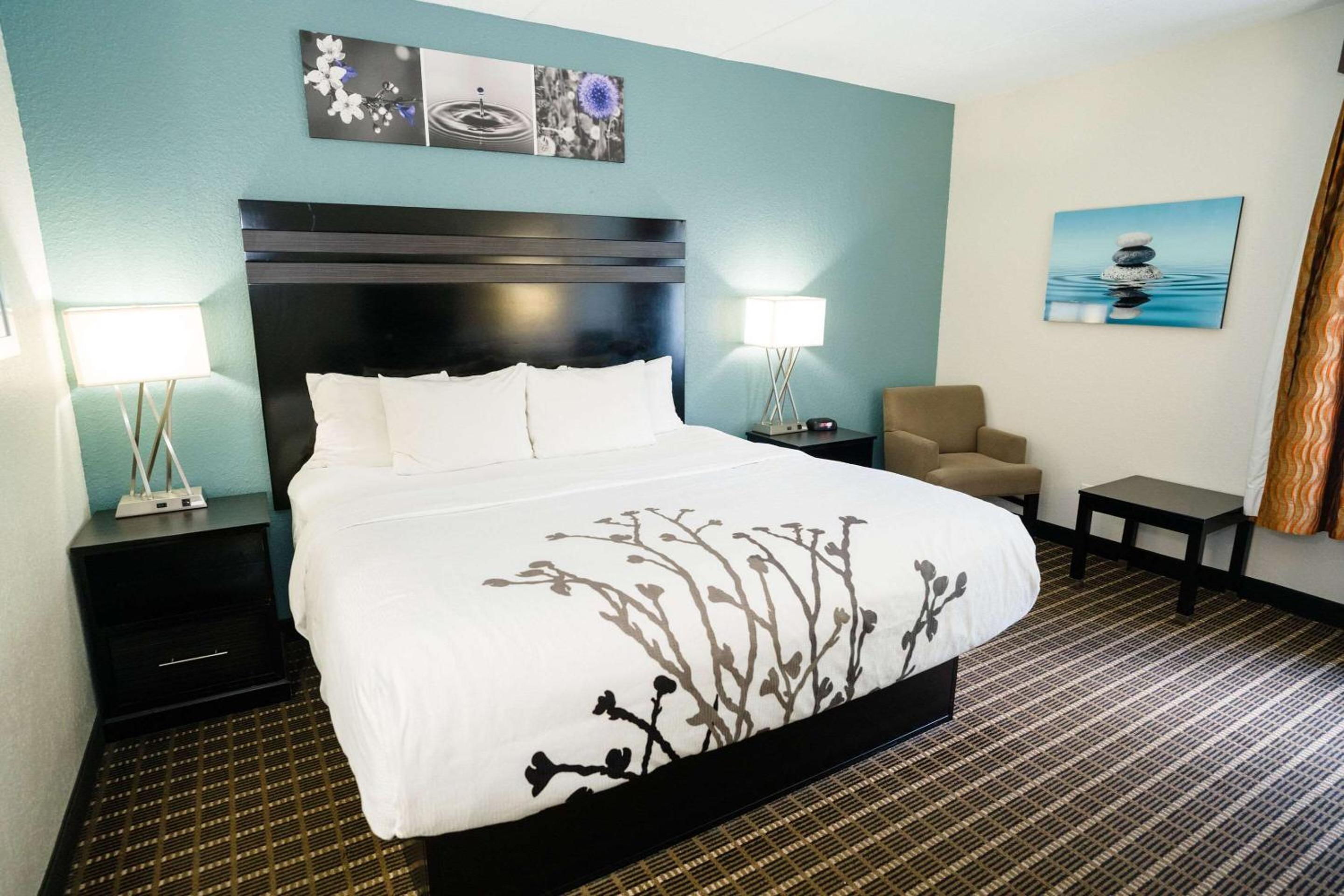 King Room - Non-Smoking - Photo 8