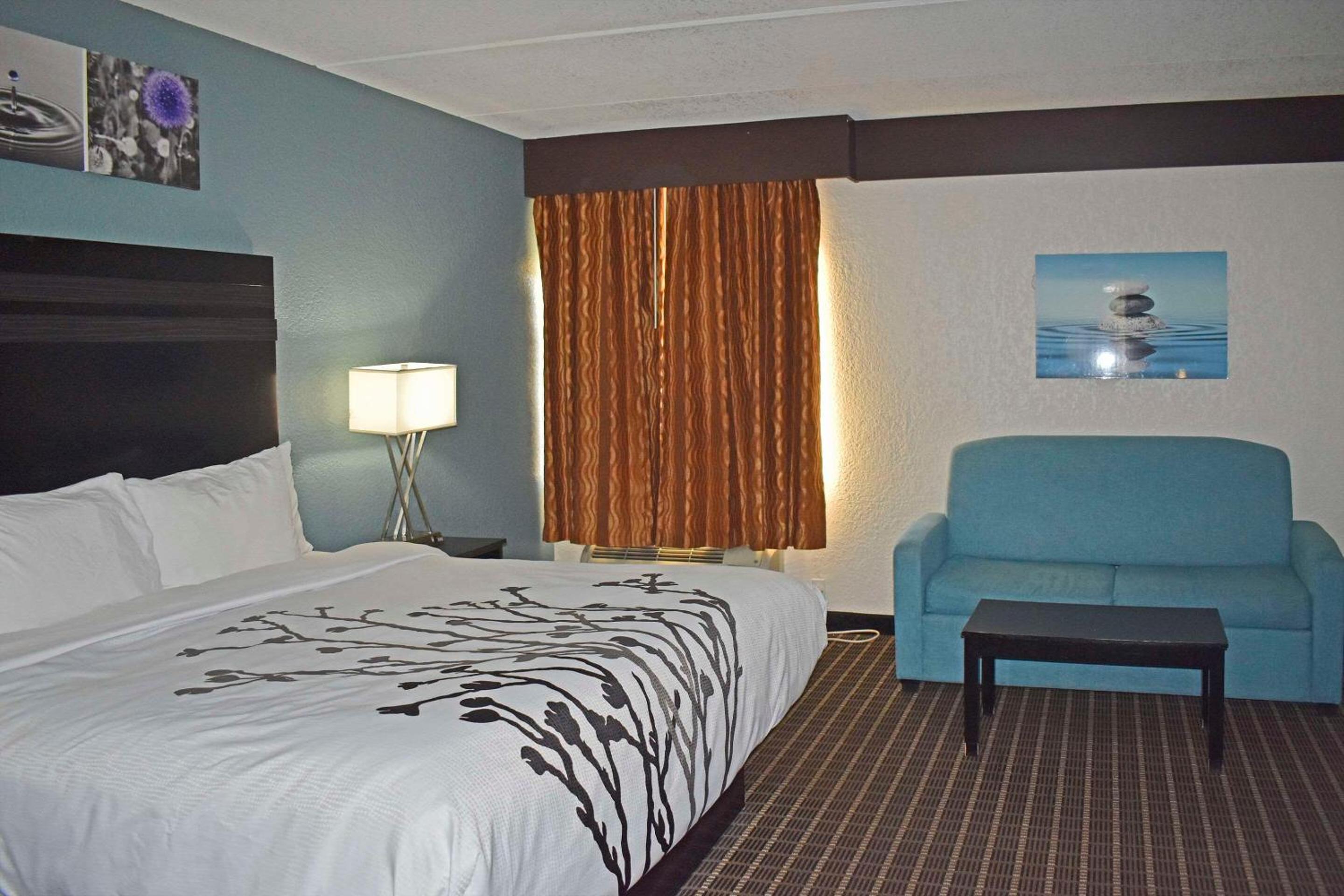 King Suite - Non-Smoking - Photo 17