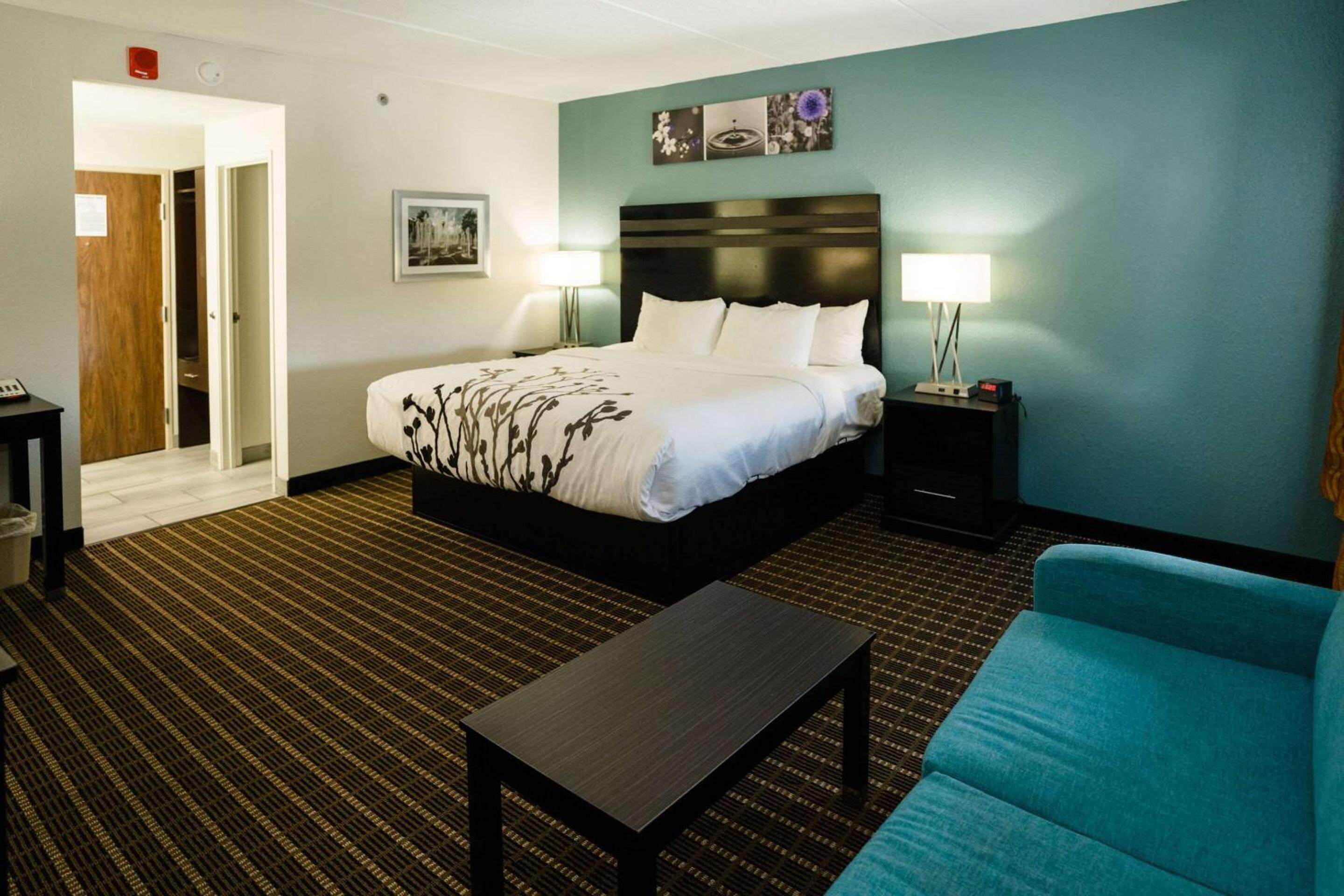 King Suite - Non-Smoking - Photo 13