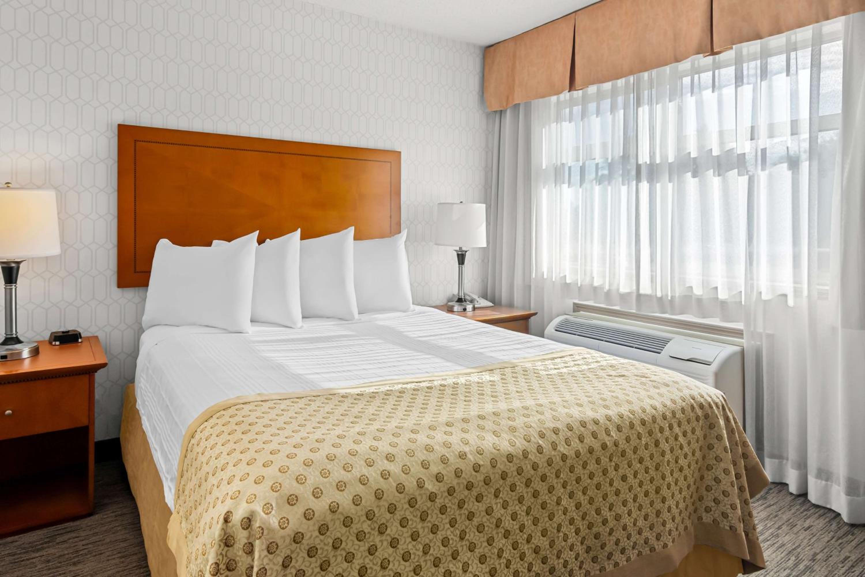 Queen Suite with Sofa Bed - No Pets Allowed/Non-Smoking - Photo 1