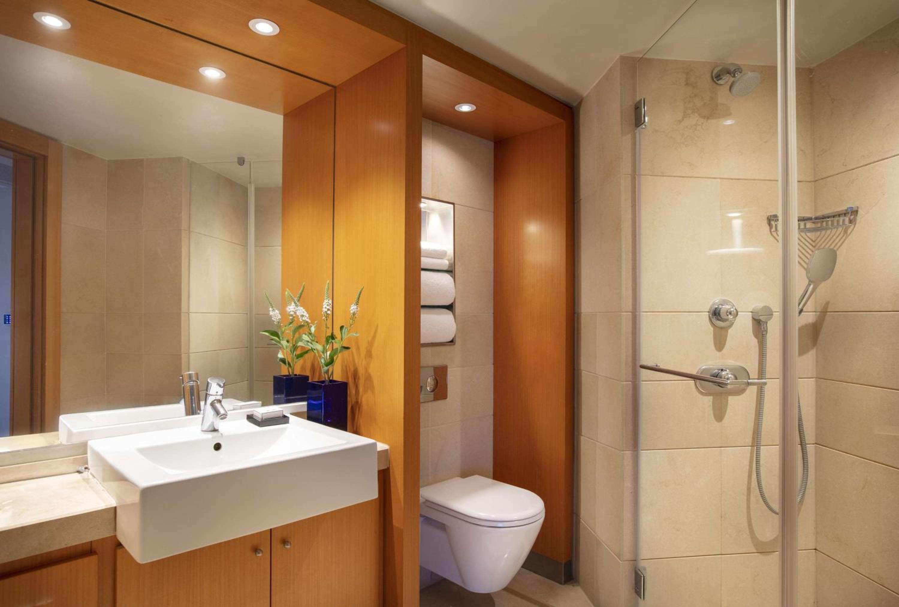 One-Bedroom Suite with Balcony and River View photo 3