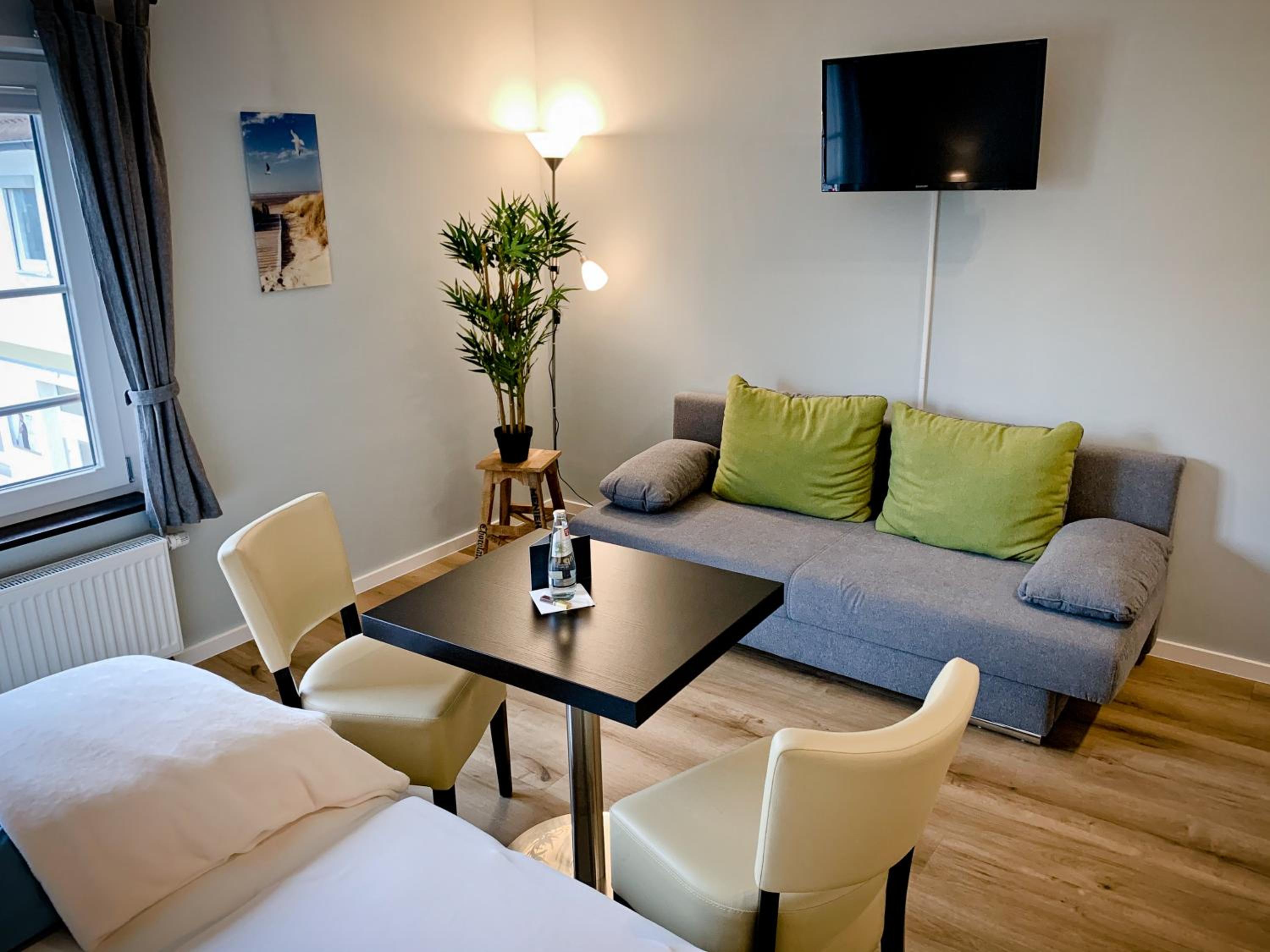 One-Bedroom Apartment with Sofa Bed