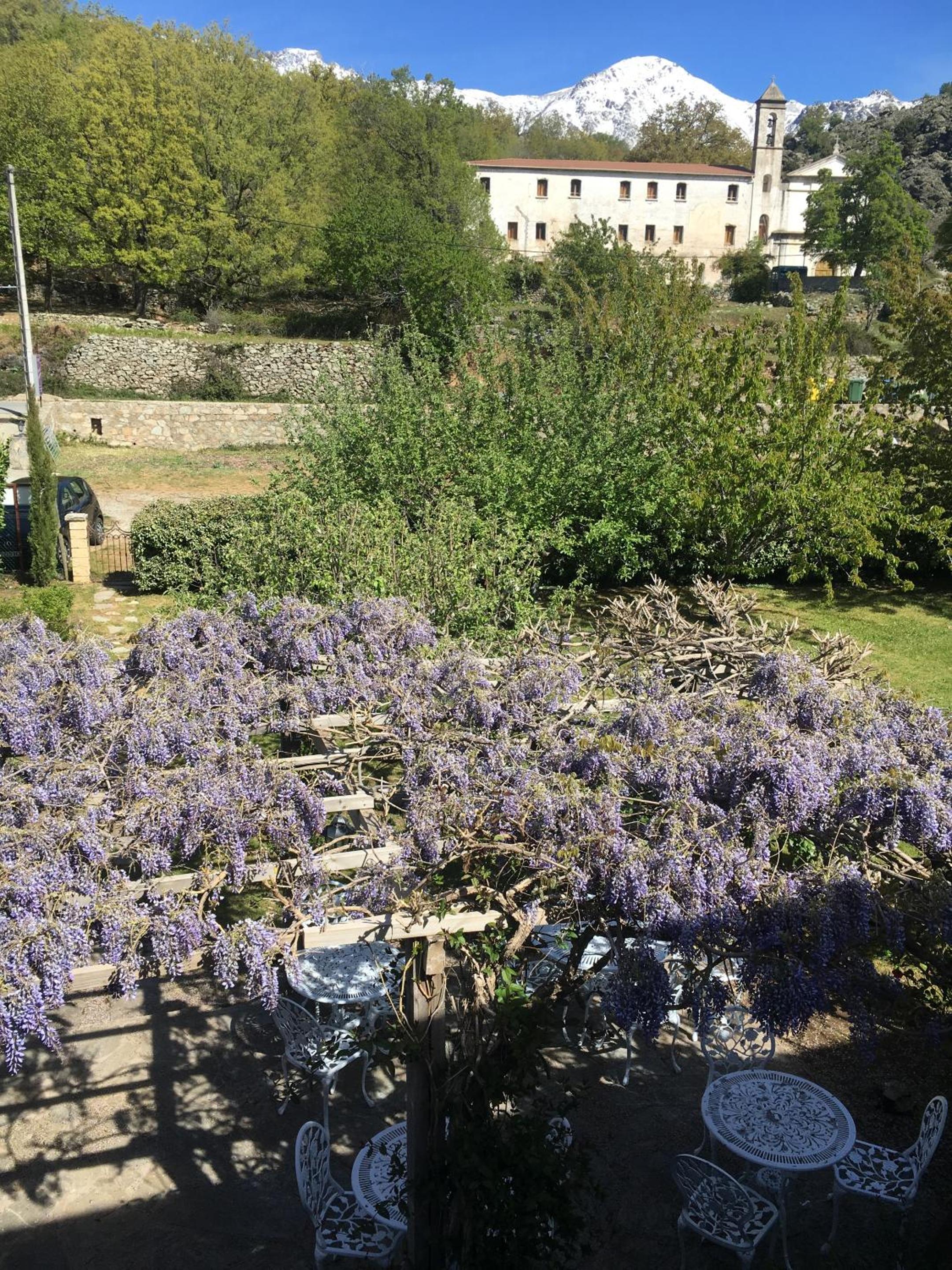 Standard Twin Room with Garden View photo 3