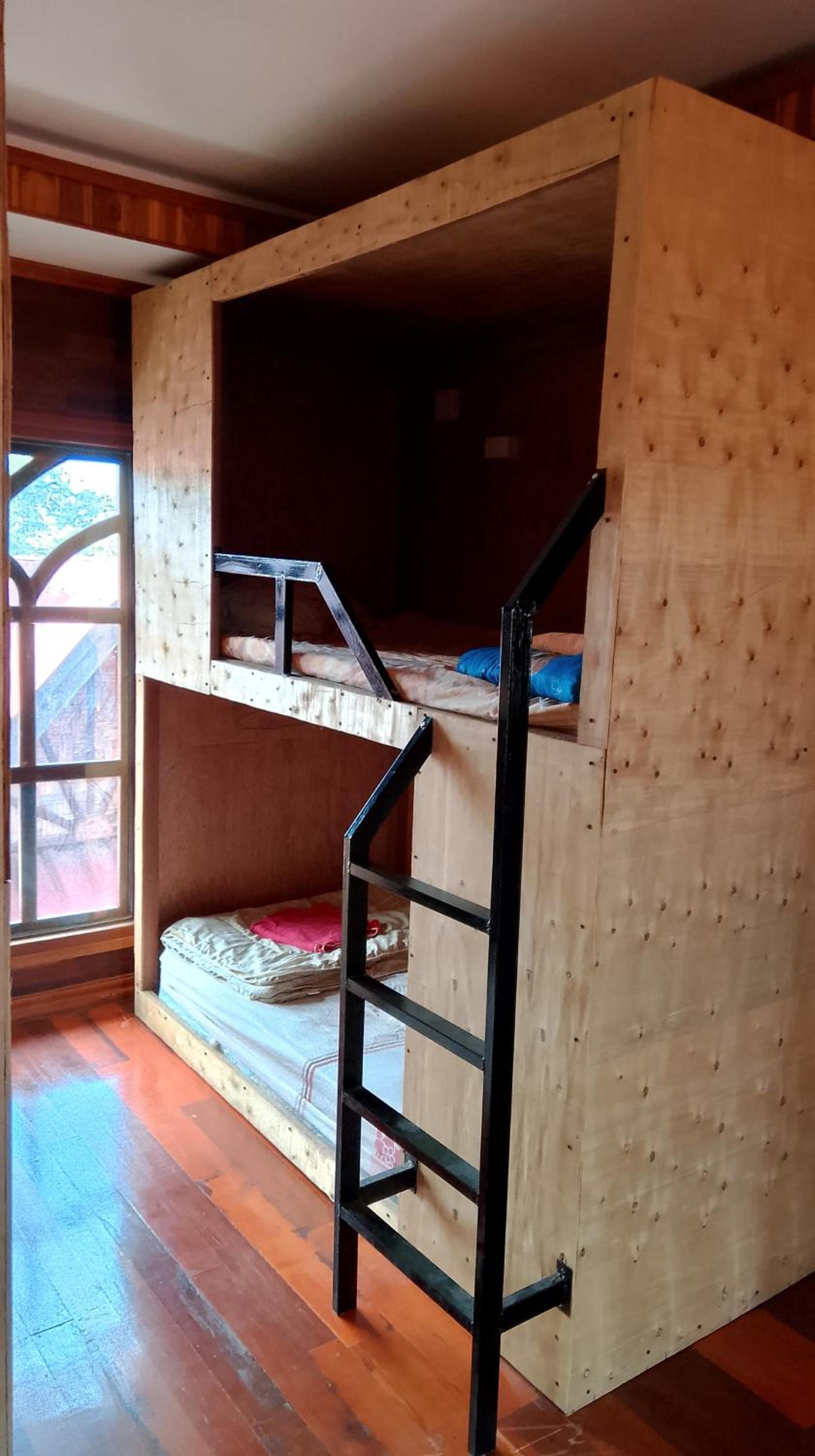 Bunk Bed in Mixed Dormitory Room photo 3