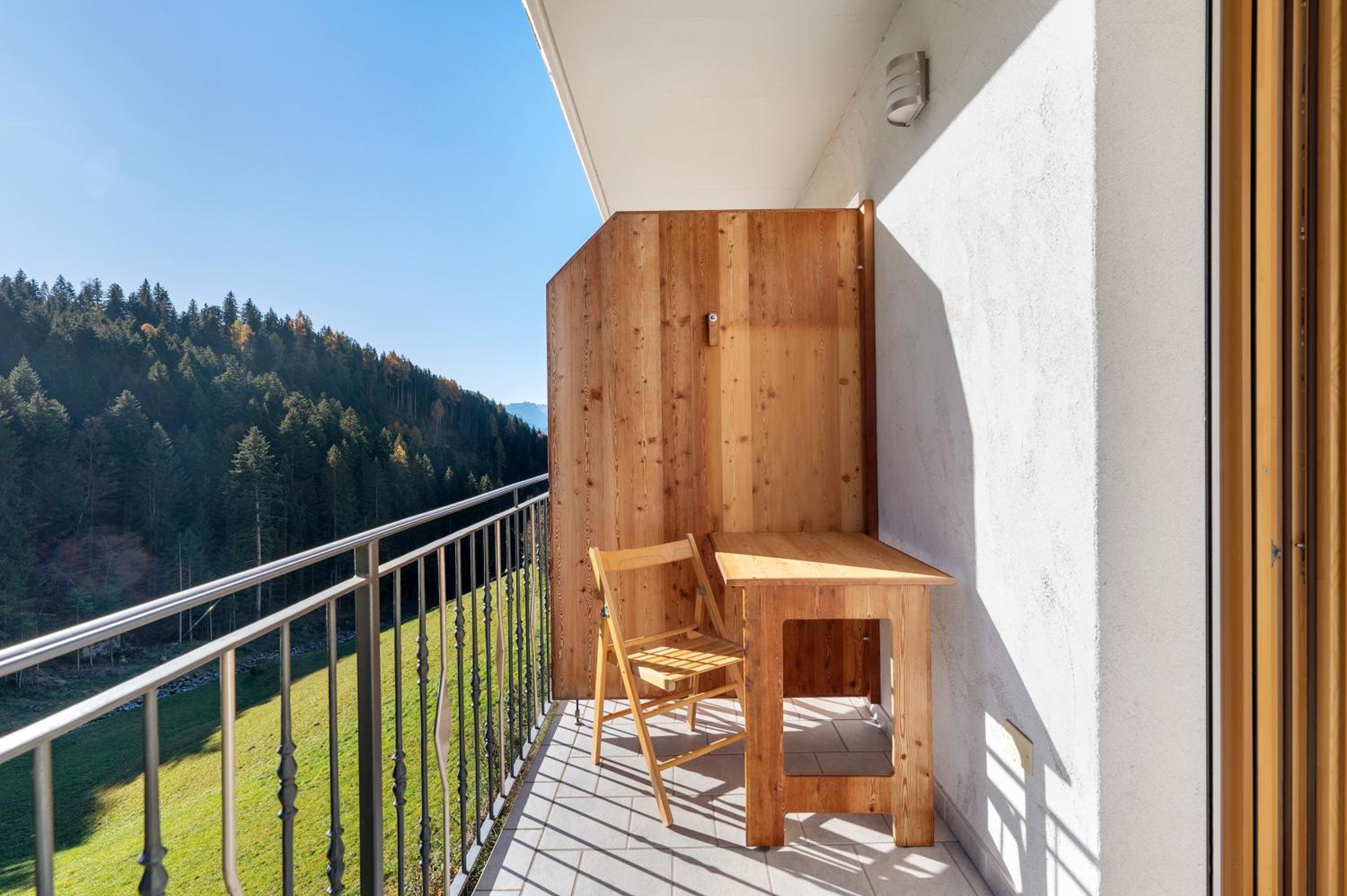 Superior One-Bedroom Apartment with Balcony photo 3