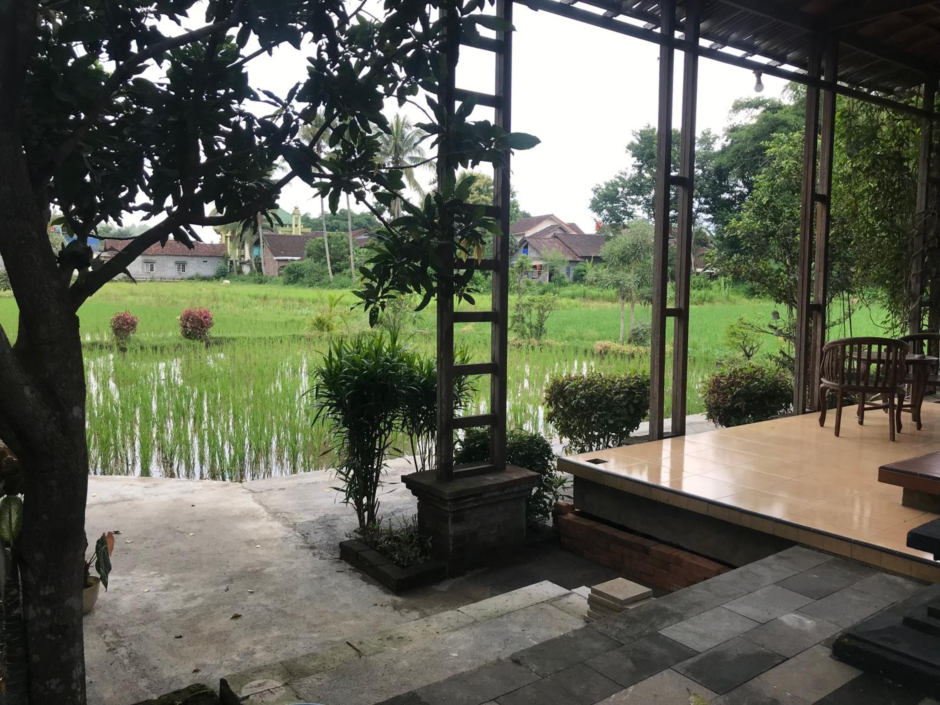 Family Room with Garden View - Photo 9