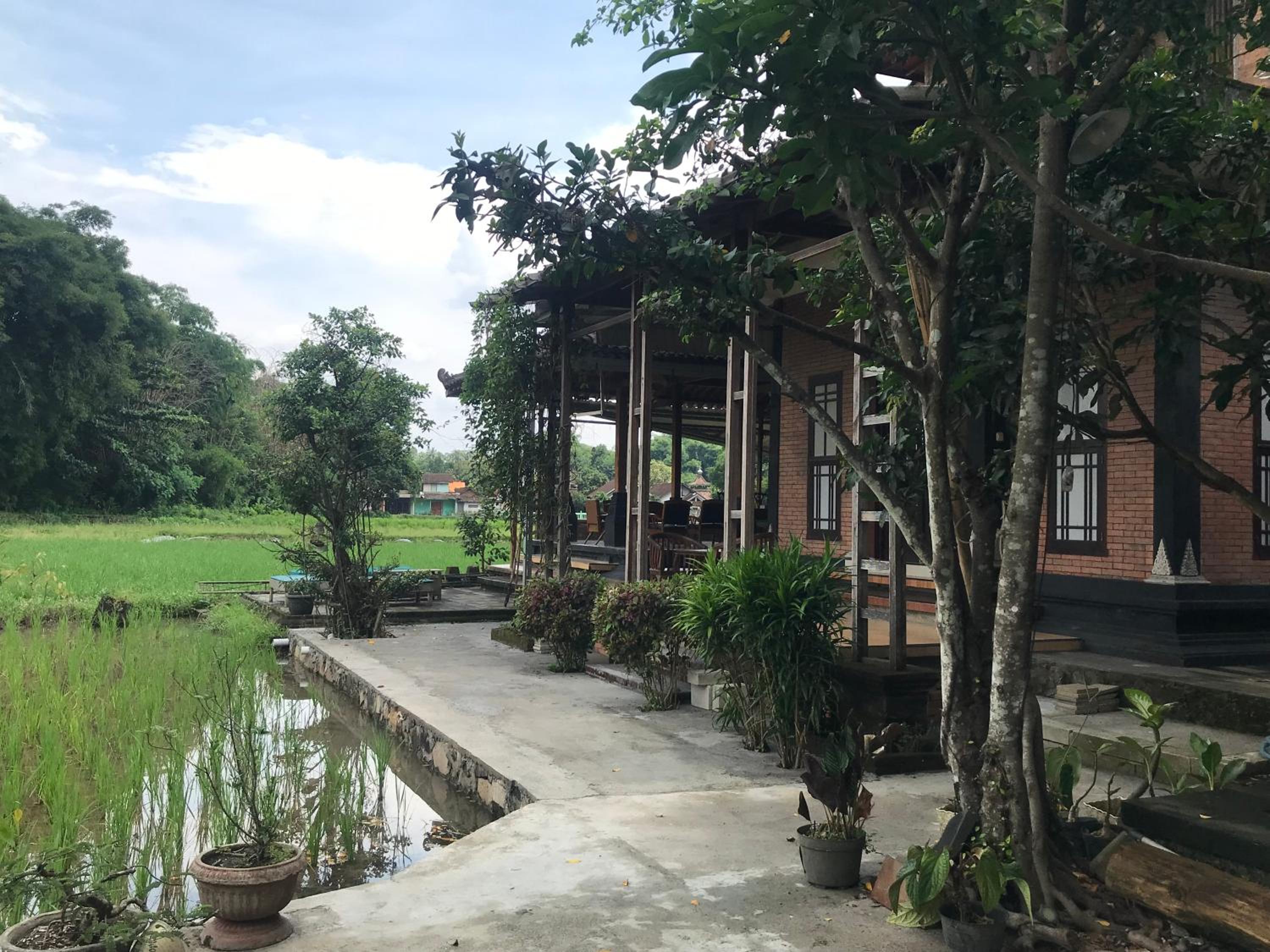 Family Room with Garden View - Photo 10