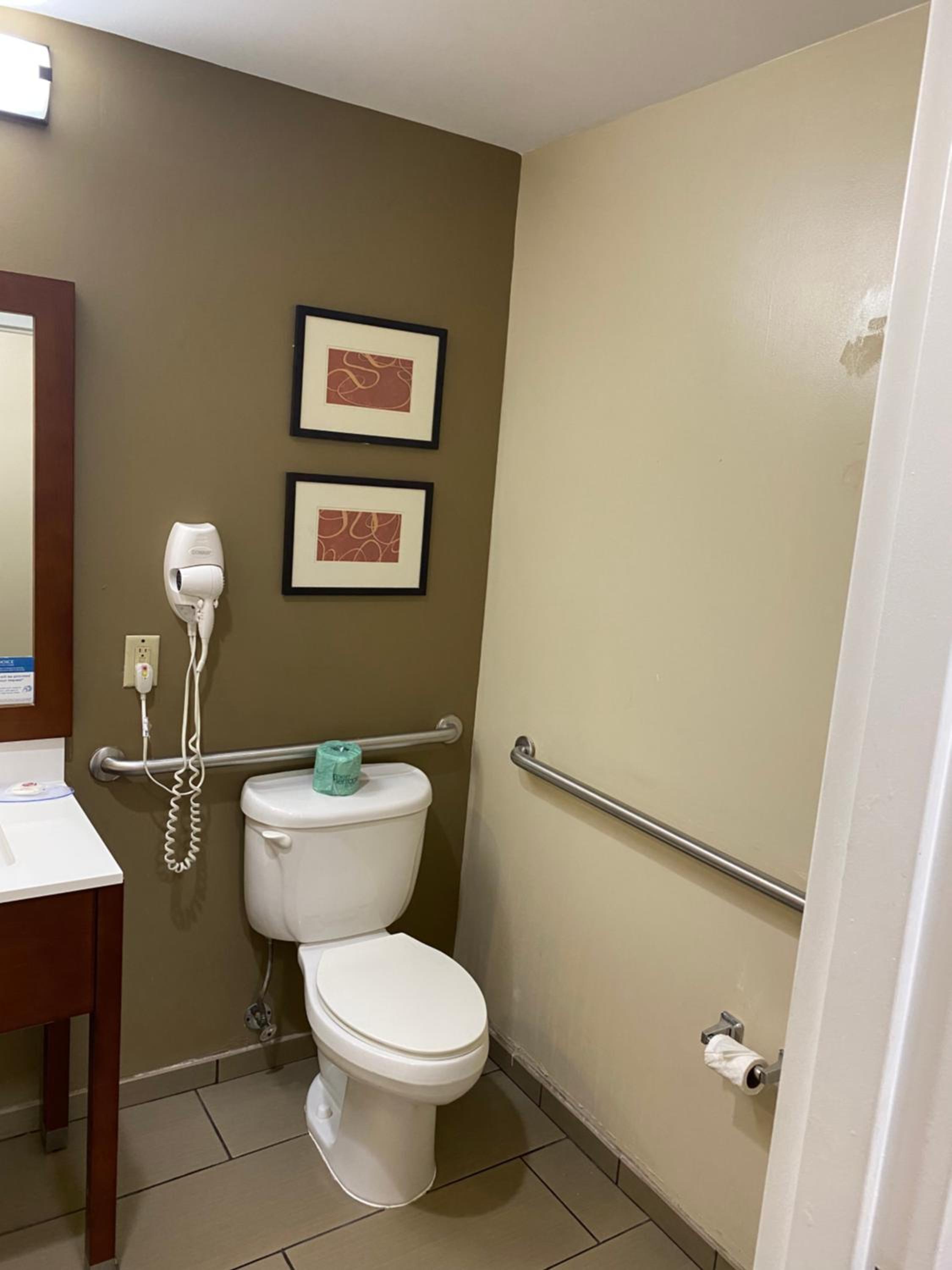 King Room with Roll-In Shower - Accessible/Non-Smoking - Photo 2