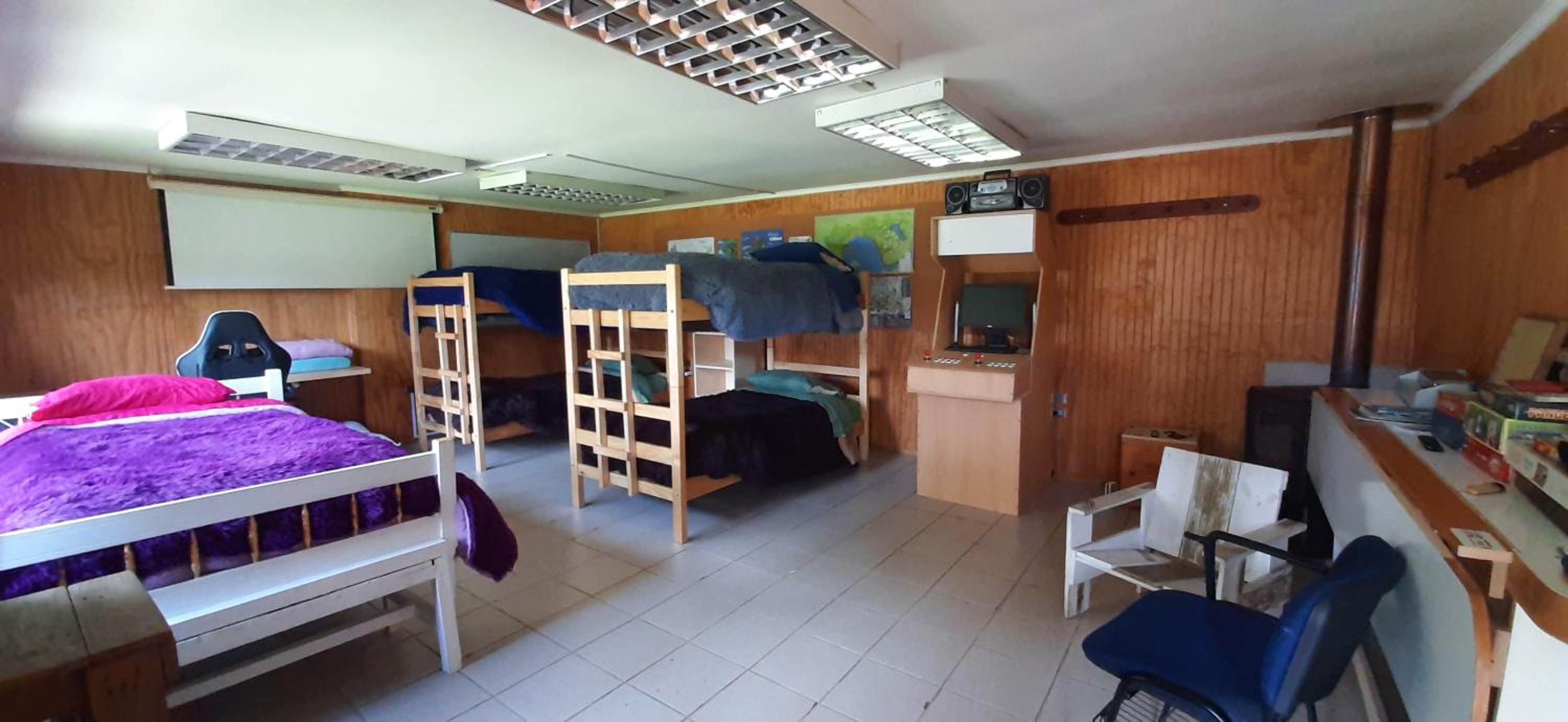 Single Bed in Dormitory Room photo 1