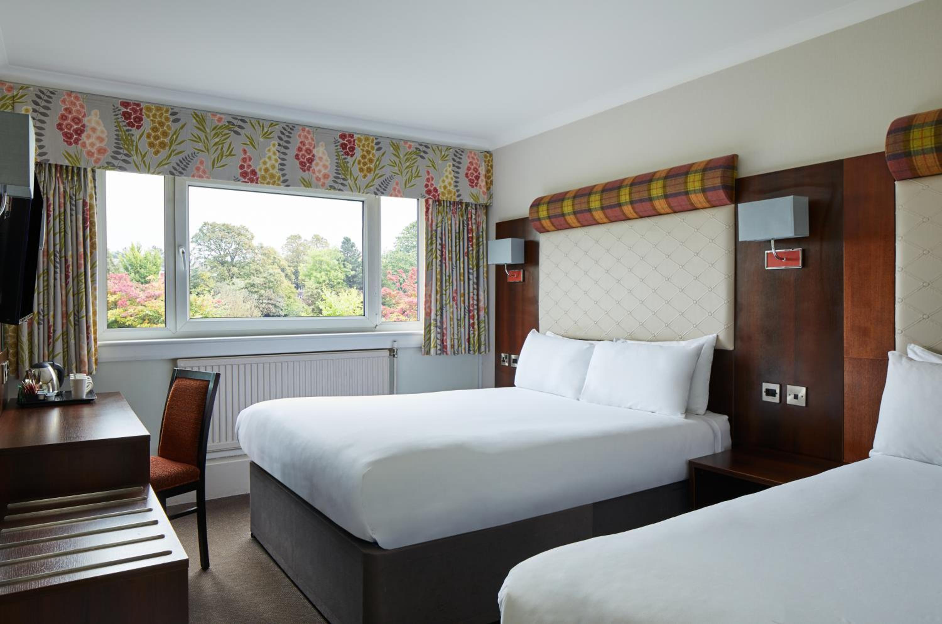 Standard Double And Single