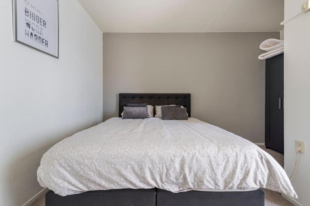 One-Bedroom Apartment photo 3
