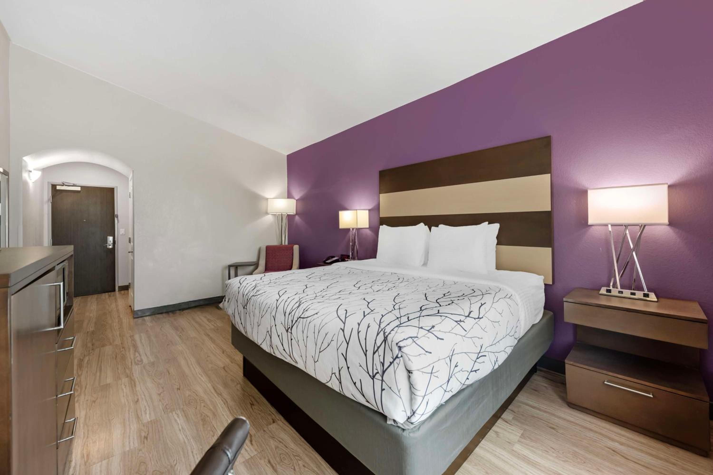King Room with Shower - Non-Smoking at Best Western Plus Buda Austin Inn & Suites in Buda