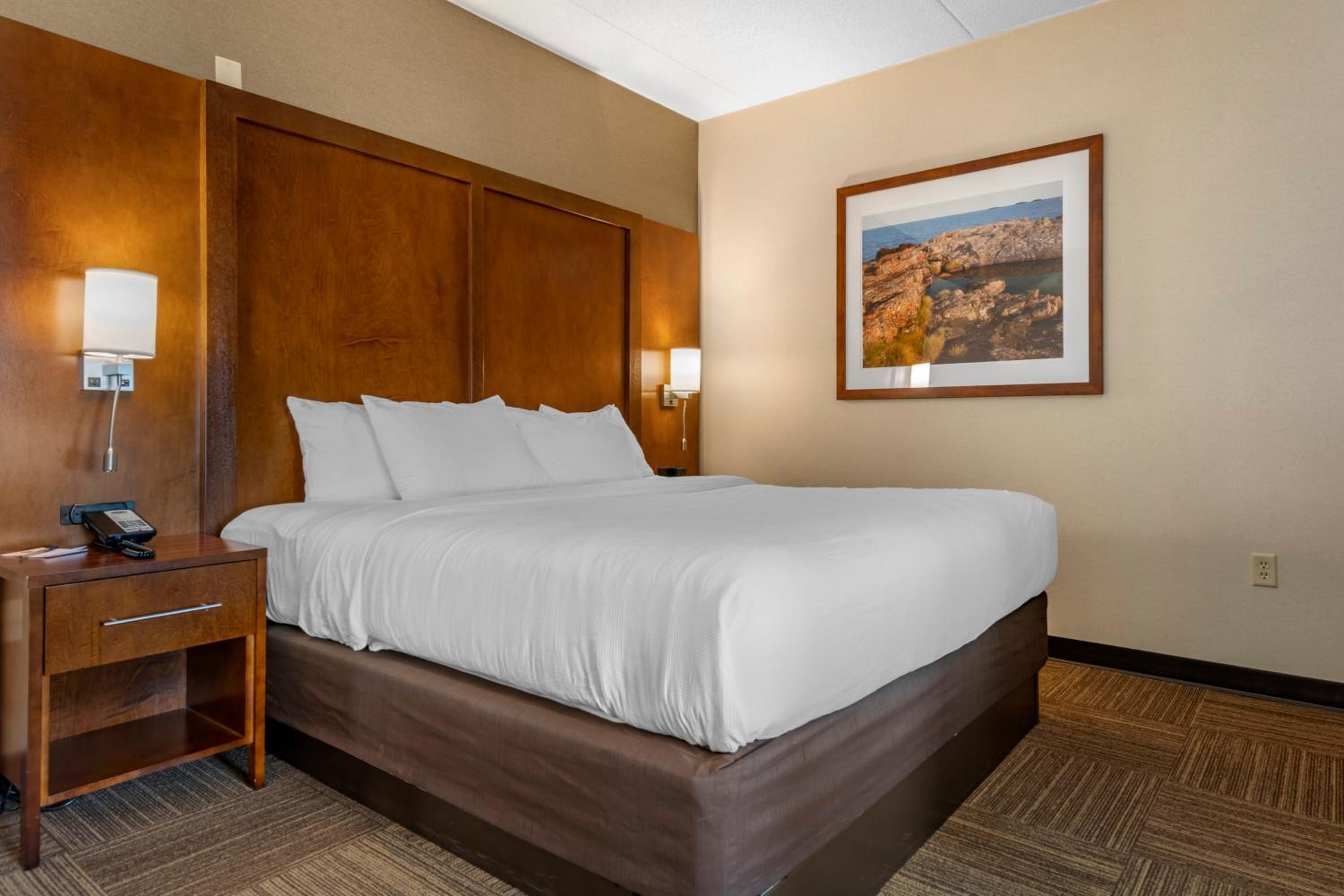 Superior King Suite with Lake View - Non-Smoking - Photo 1