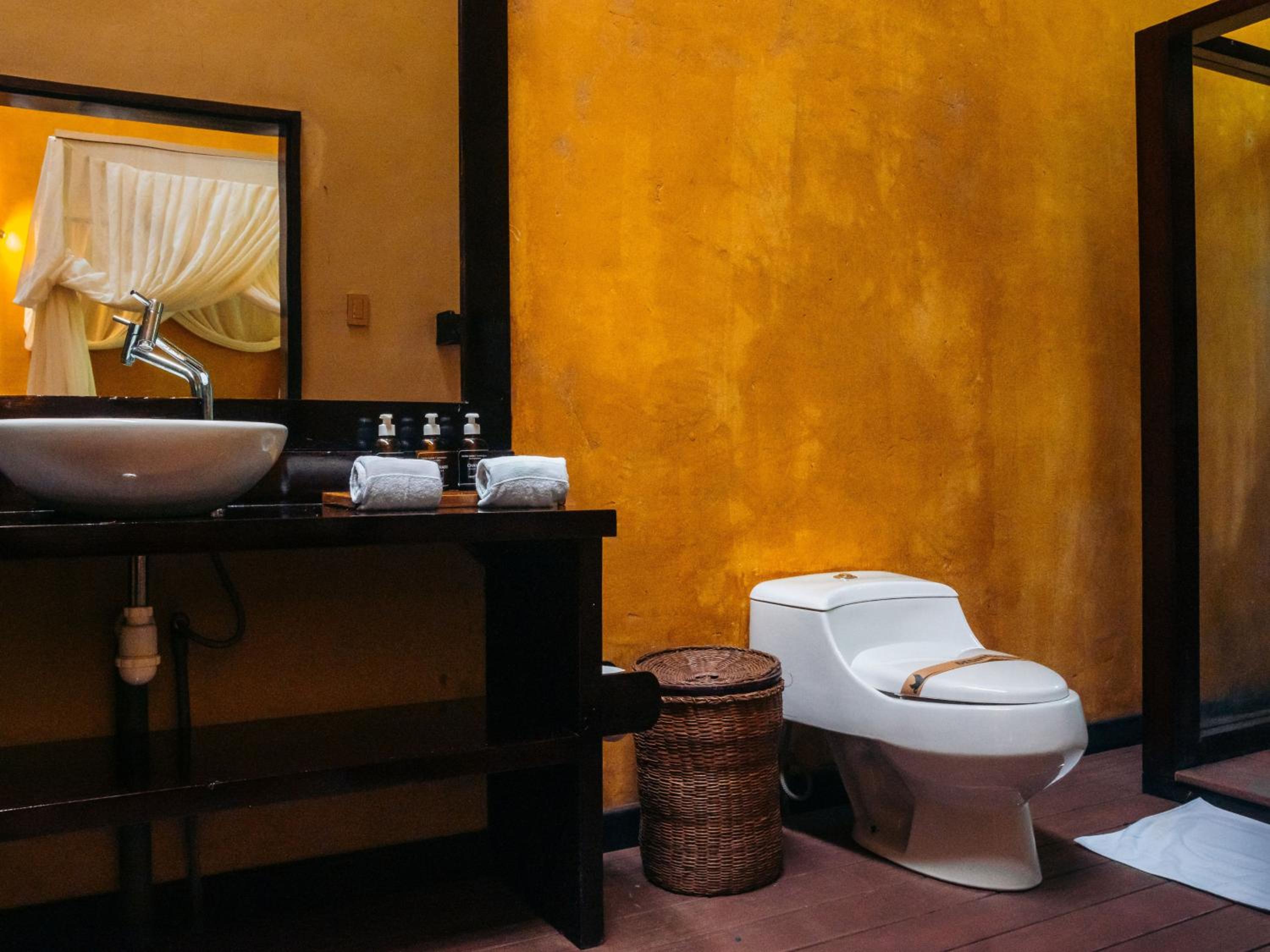 Rainforest Comfort Twin Room photo 2