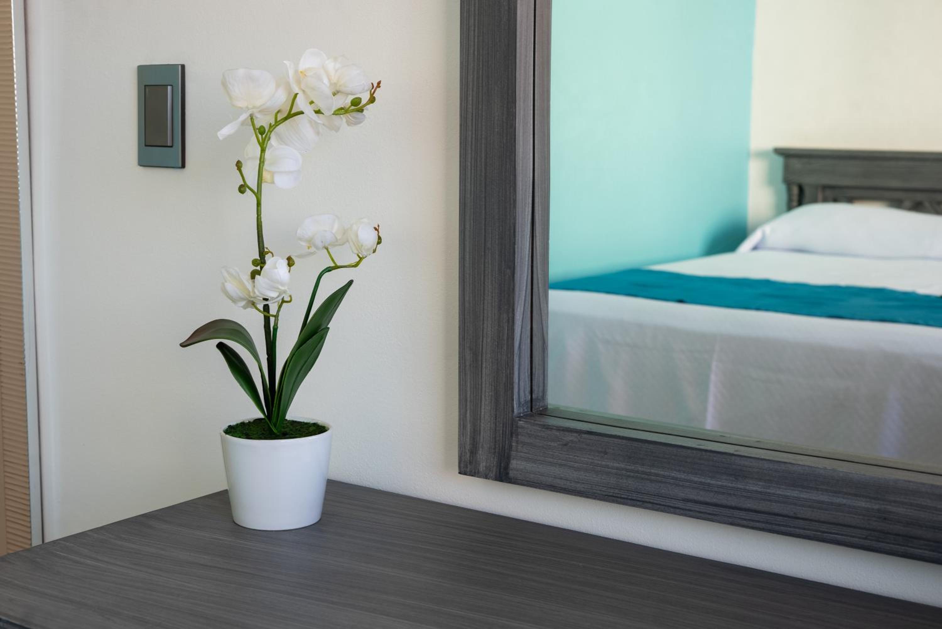 Standard Twin Room photo 3