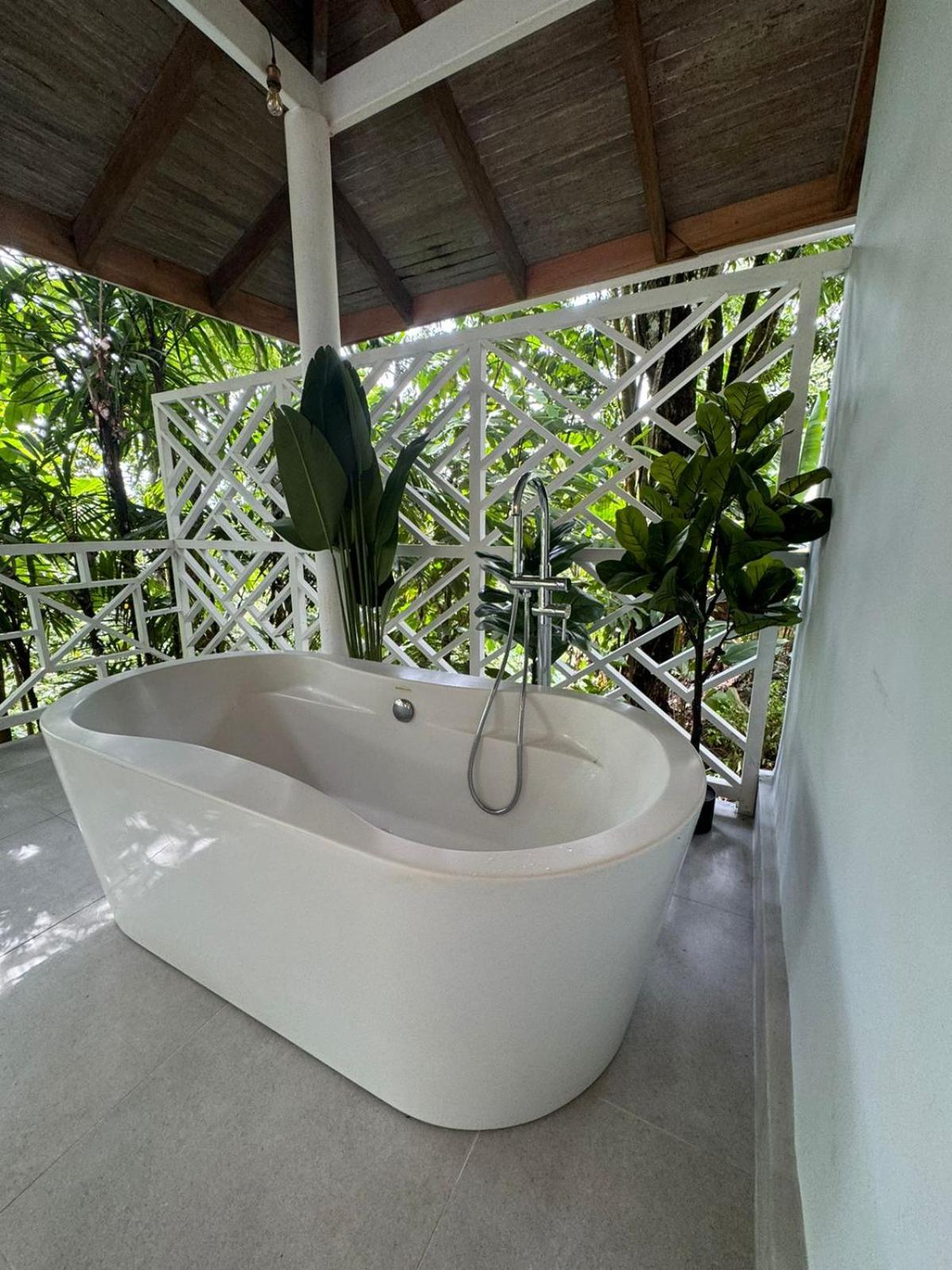 Deluxe Villa photo 3