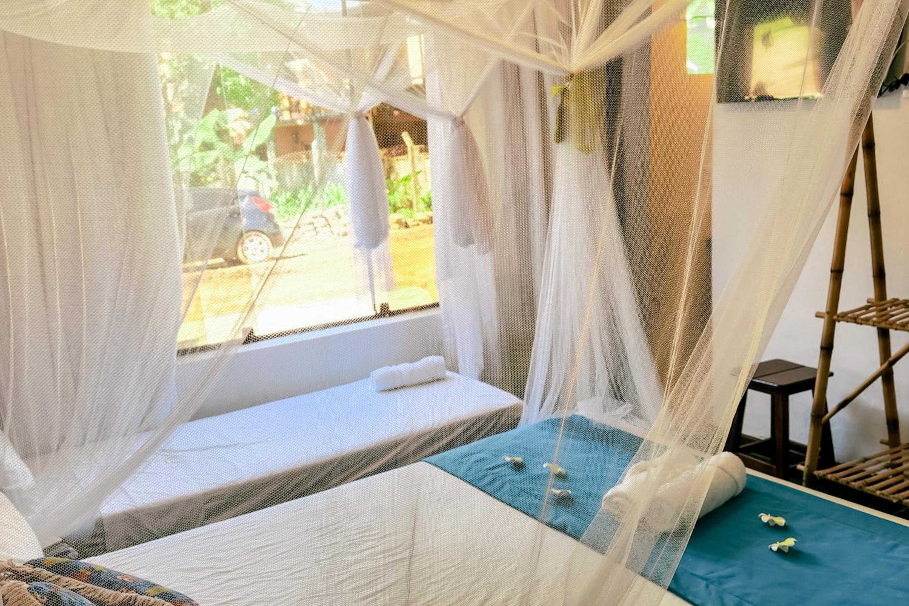 Quarto Junior