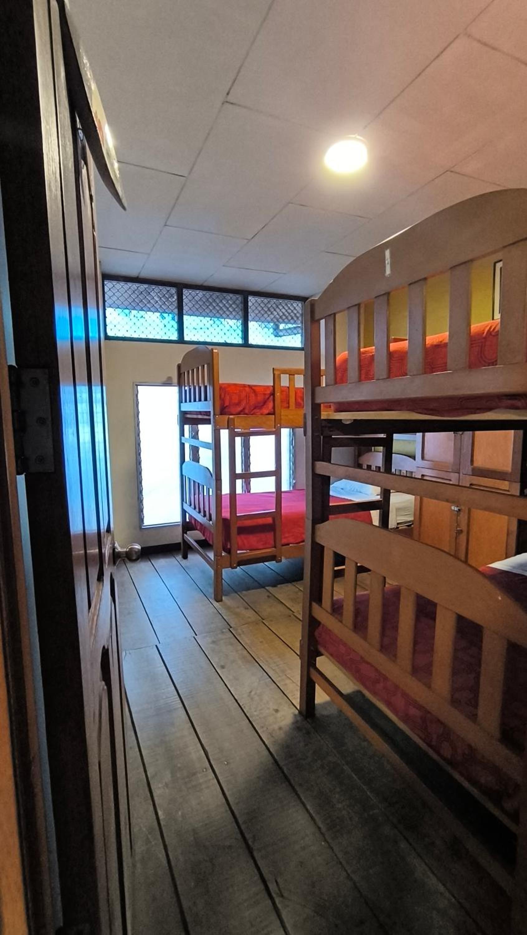 Single Bed in Mixed Dormitory Room photo 3