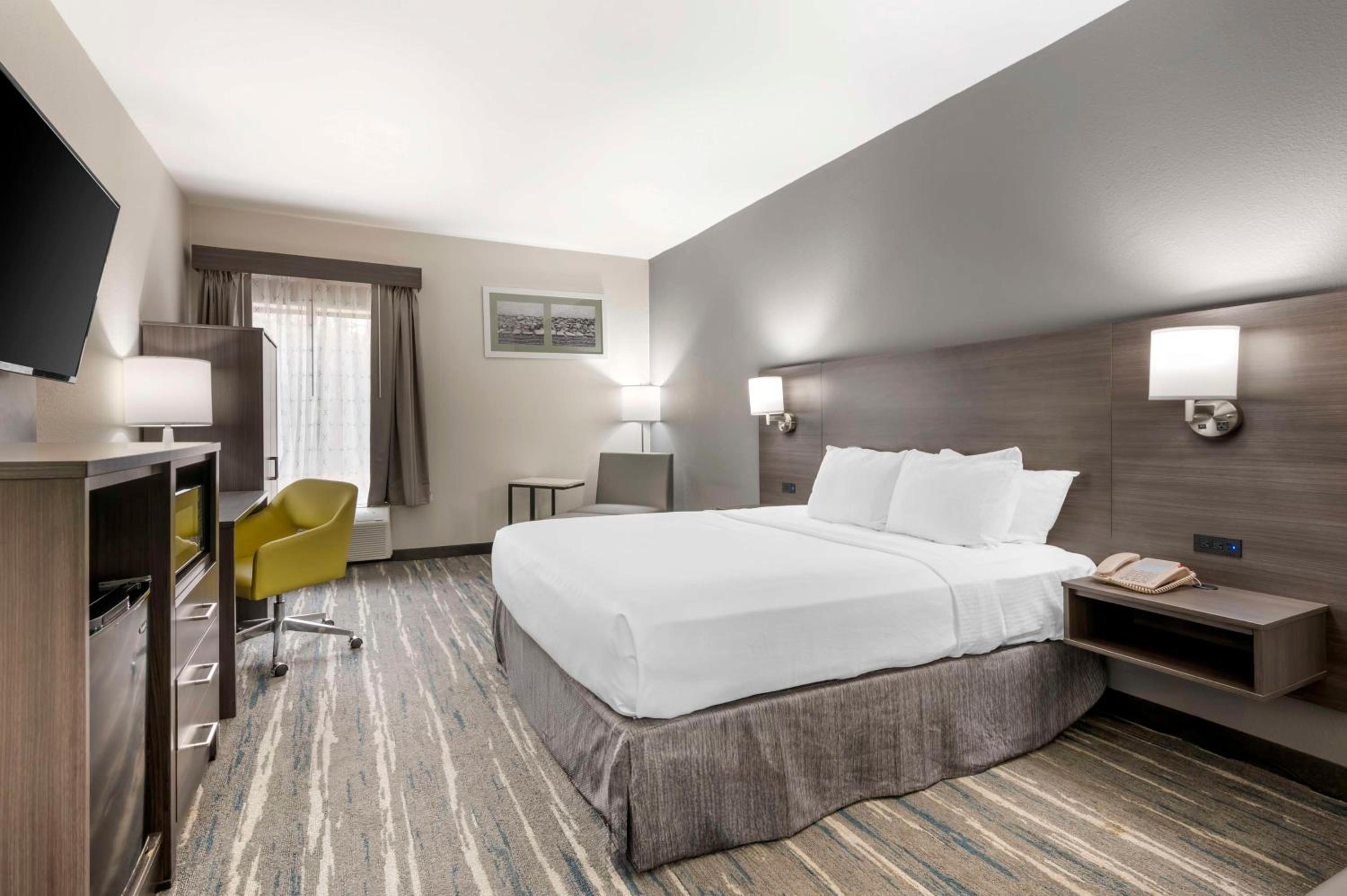 Queen Room with Walk-In Shower - Disability Access/Non-Smoking - Photo 1