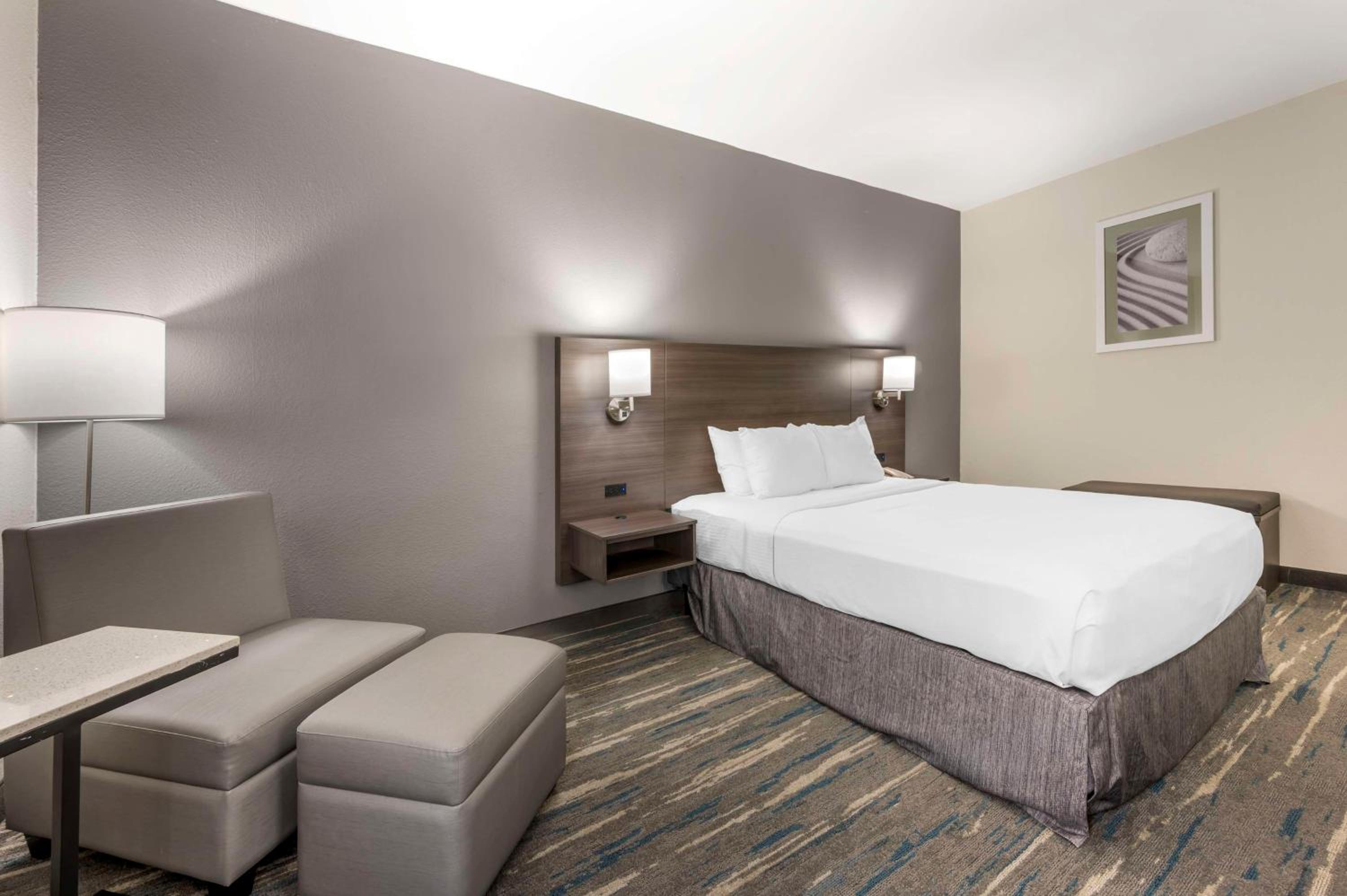 Queen Room with Walk-In Shower - Disability Access/Non-Smoking - Photo 2