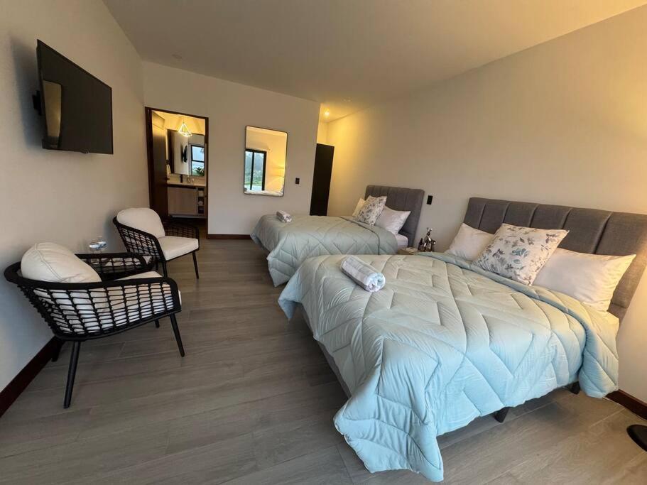 One-Bedroom House photo 3