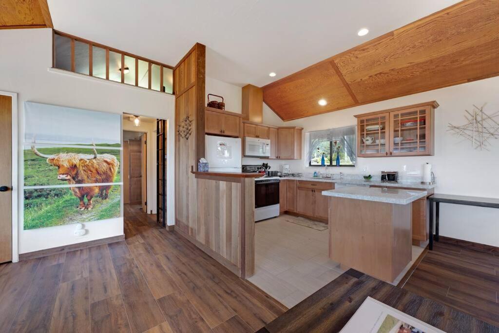 One-Bedroom House photo 3