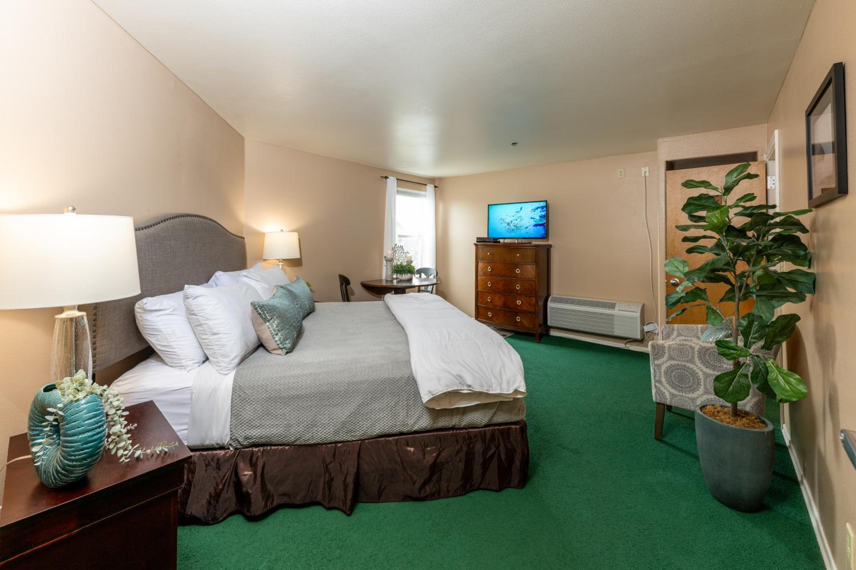 King Room with Mountain View - Pet Friendly