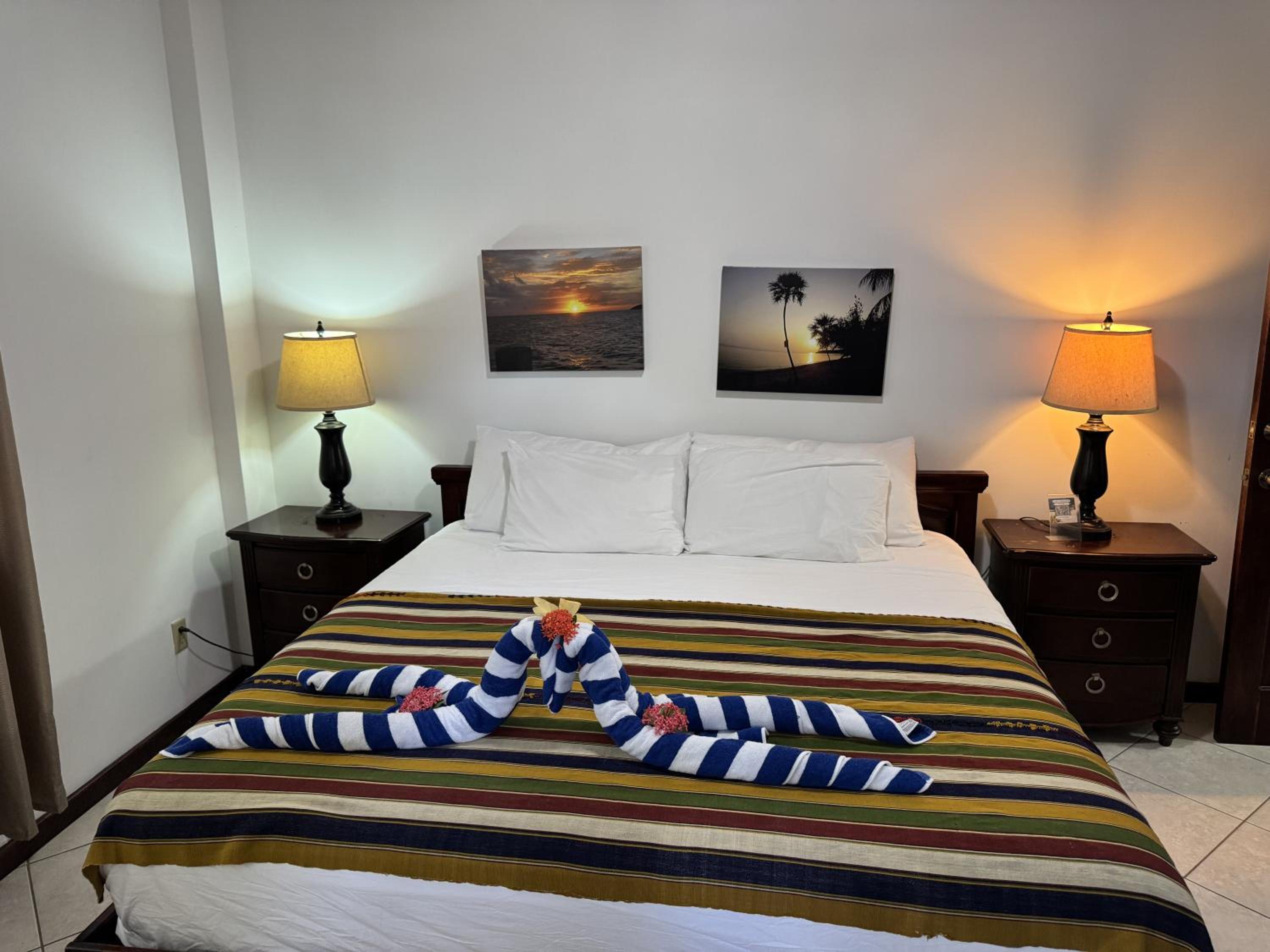 Deluxe King Suite photo 3