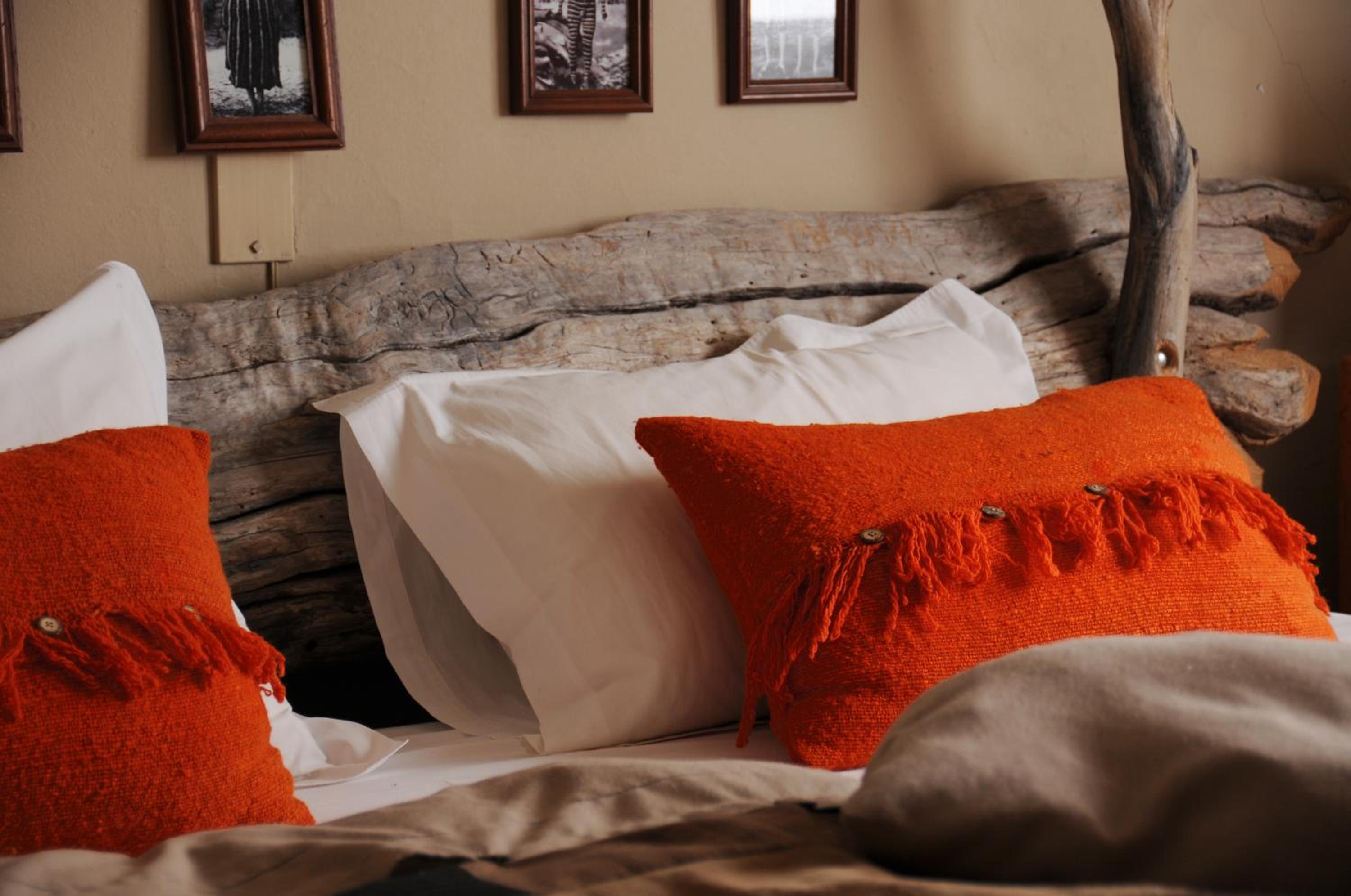 Junior Suite photo 1