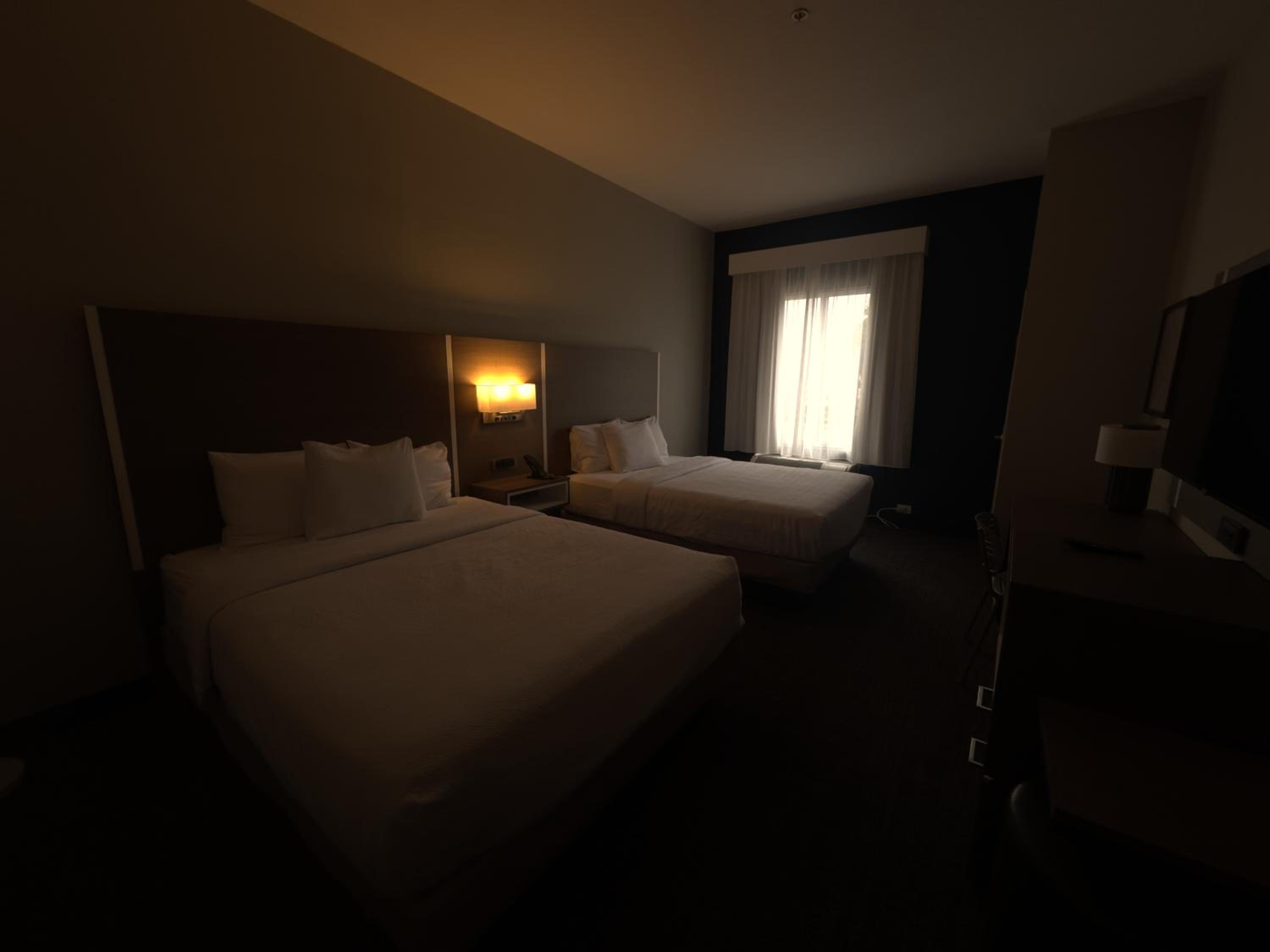 Studio Suite with One King Bed and Two Queen Beds