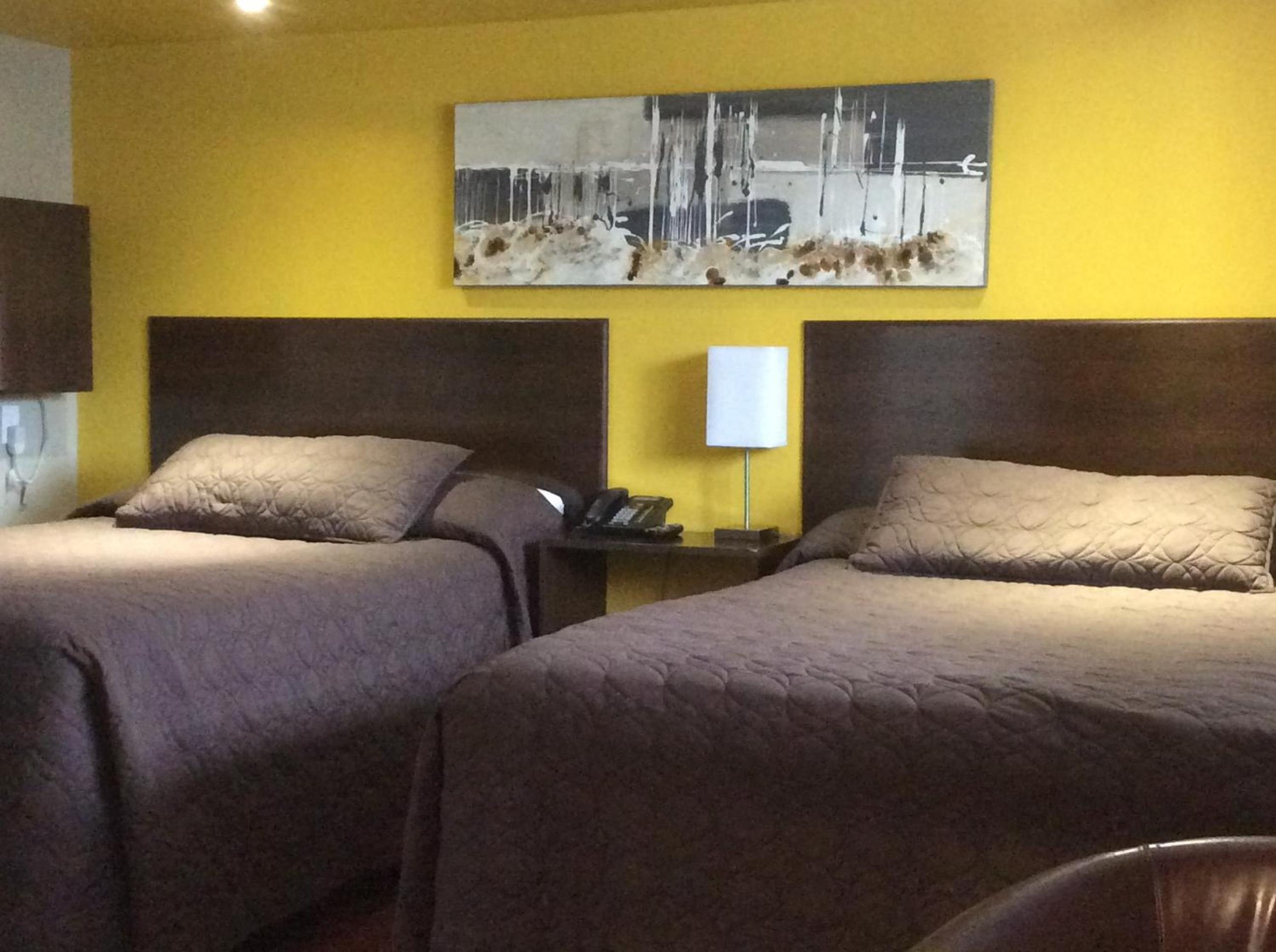 Deluxe Quadruple Room photo 1
