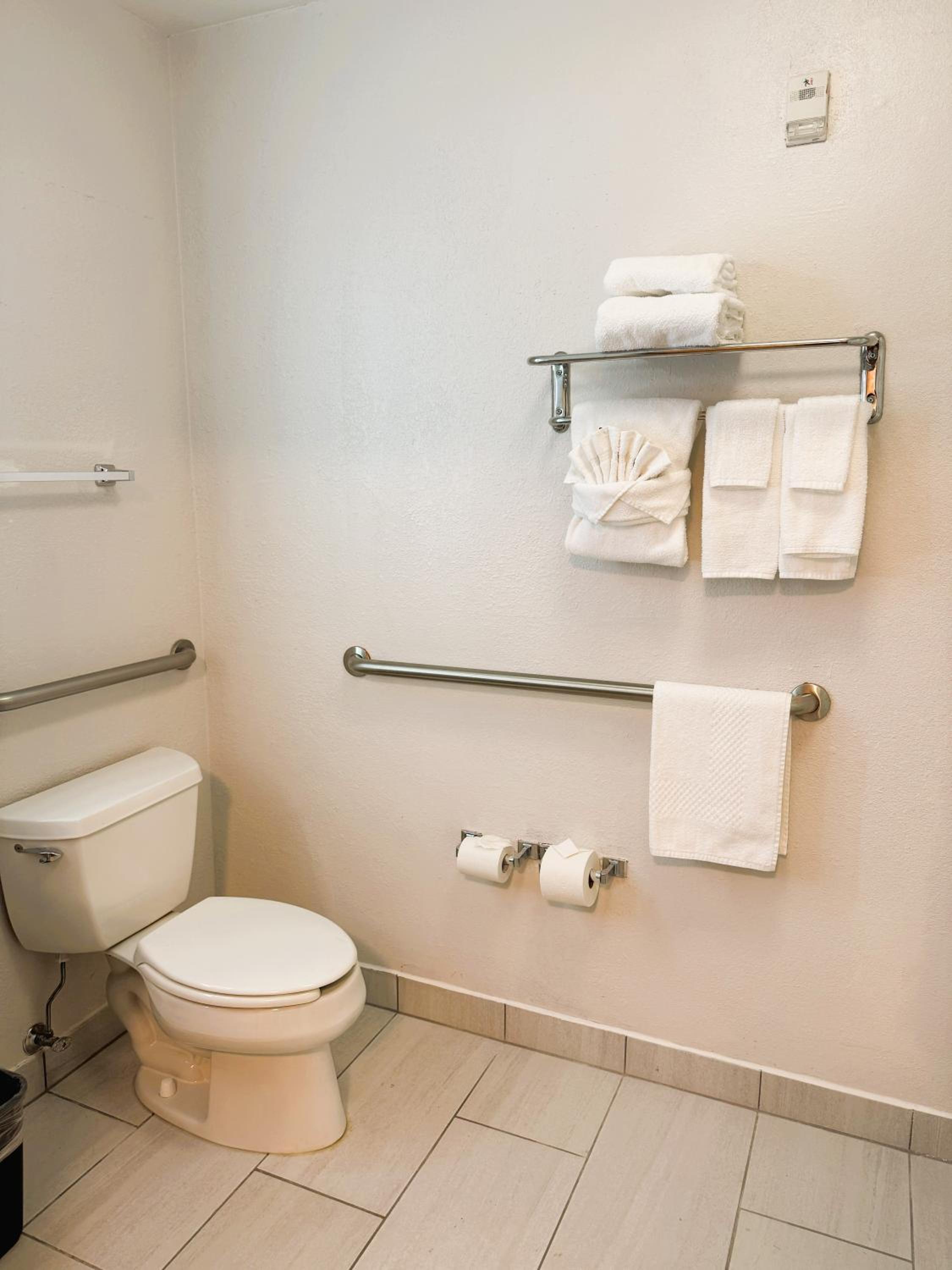 King Suite - Accessible/Non-Smoking - Photo 4