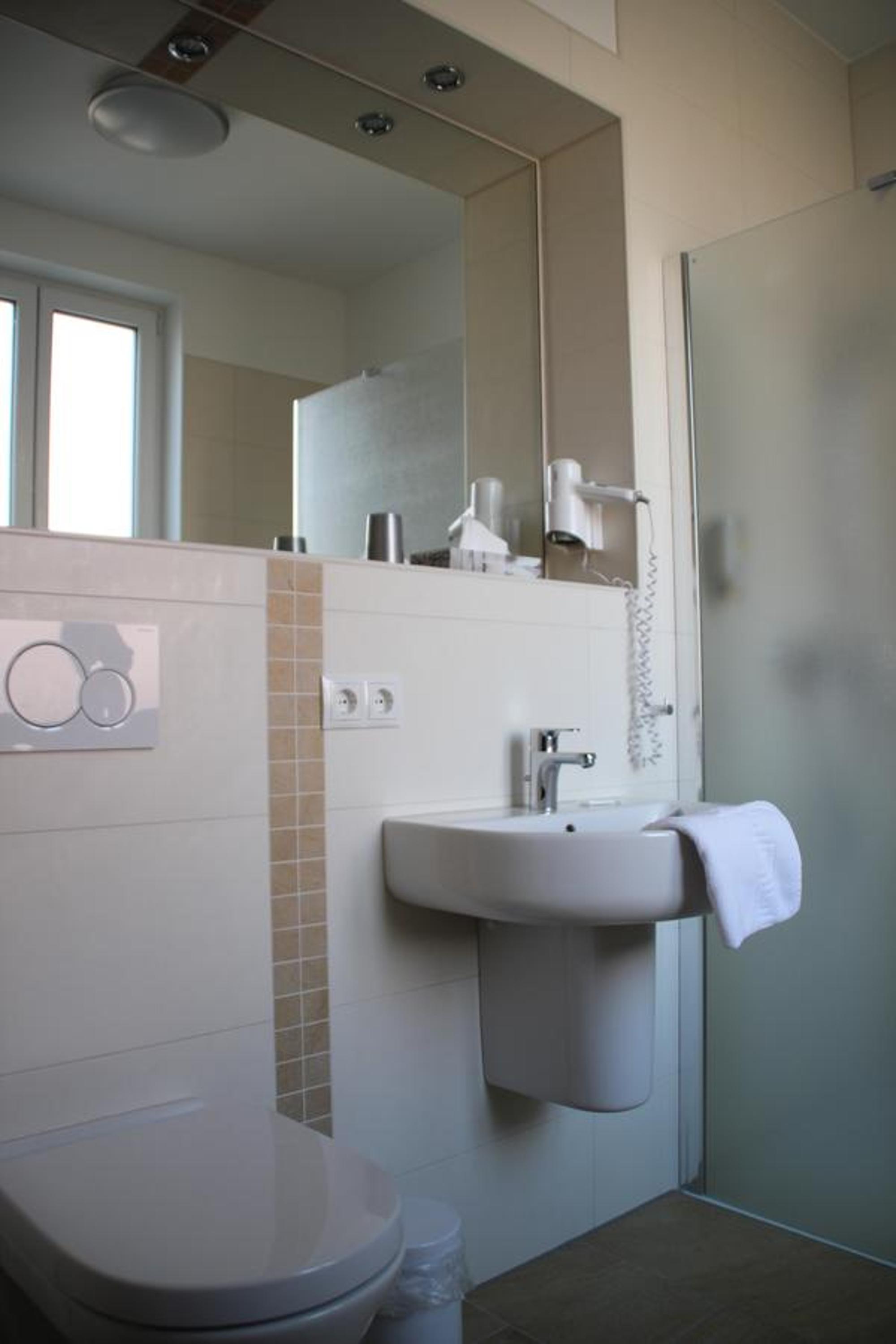 Large Single Room photo 2
