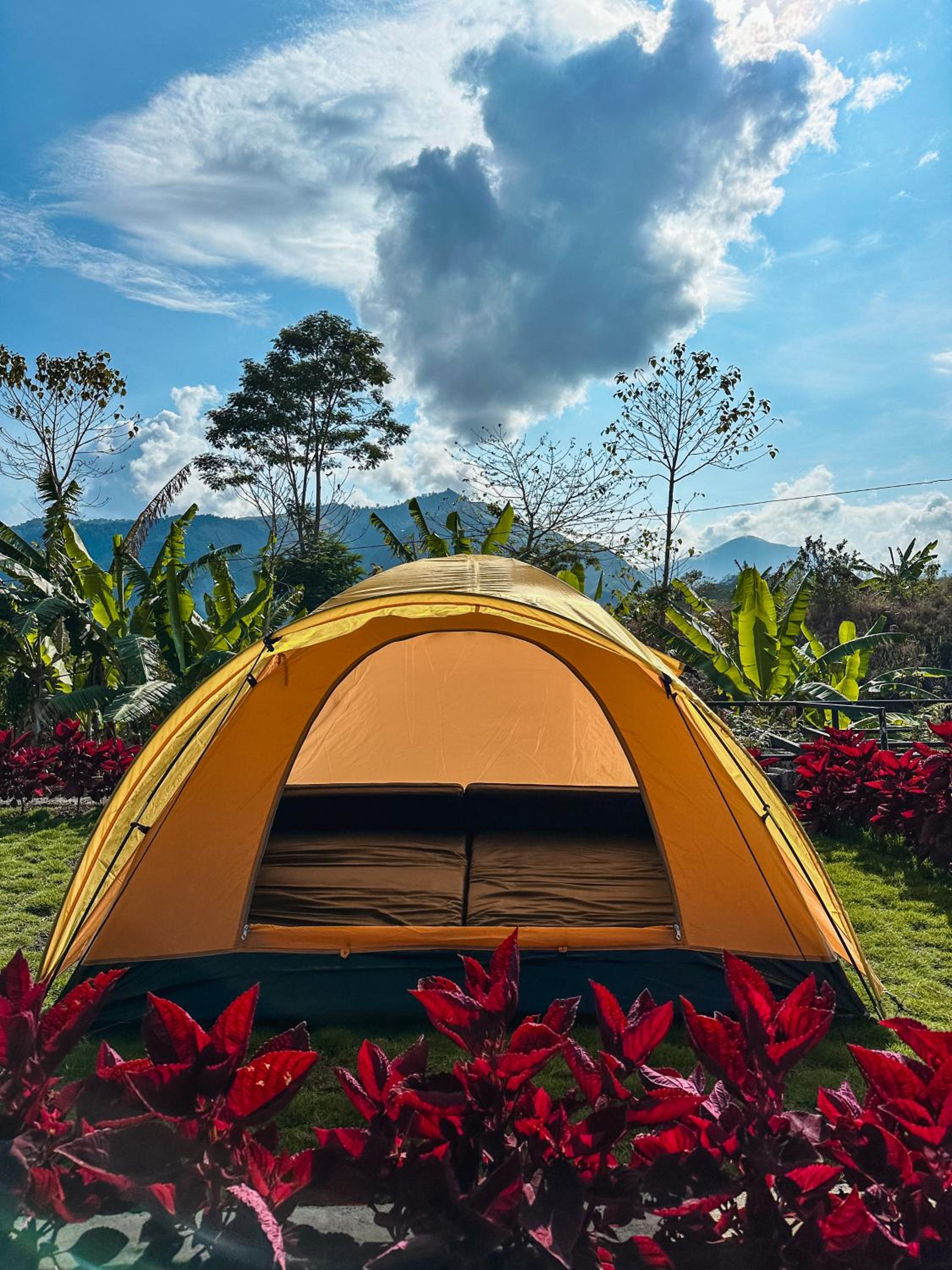 Tent photo 1