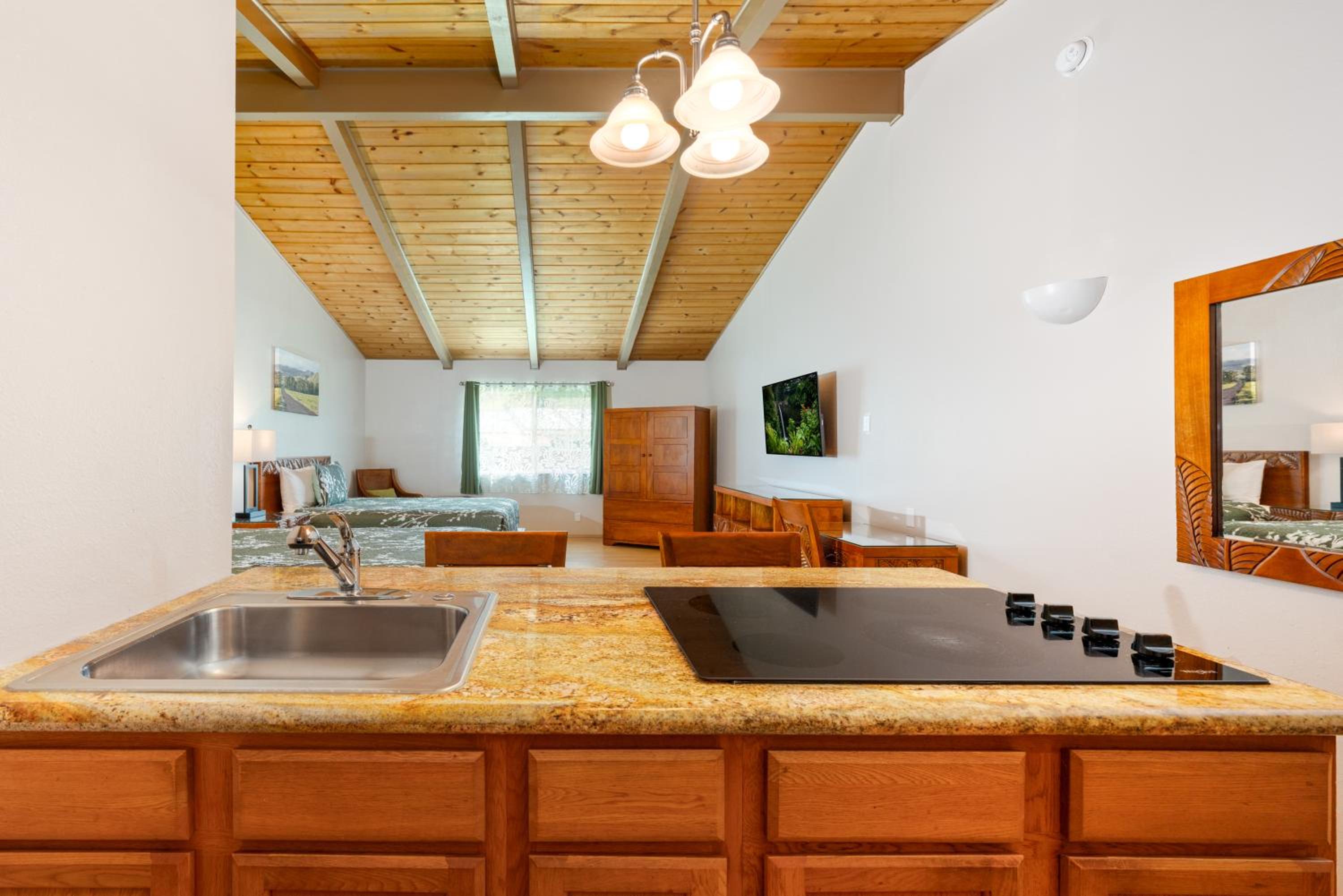 Studio with Kitchenette - Photo 15