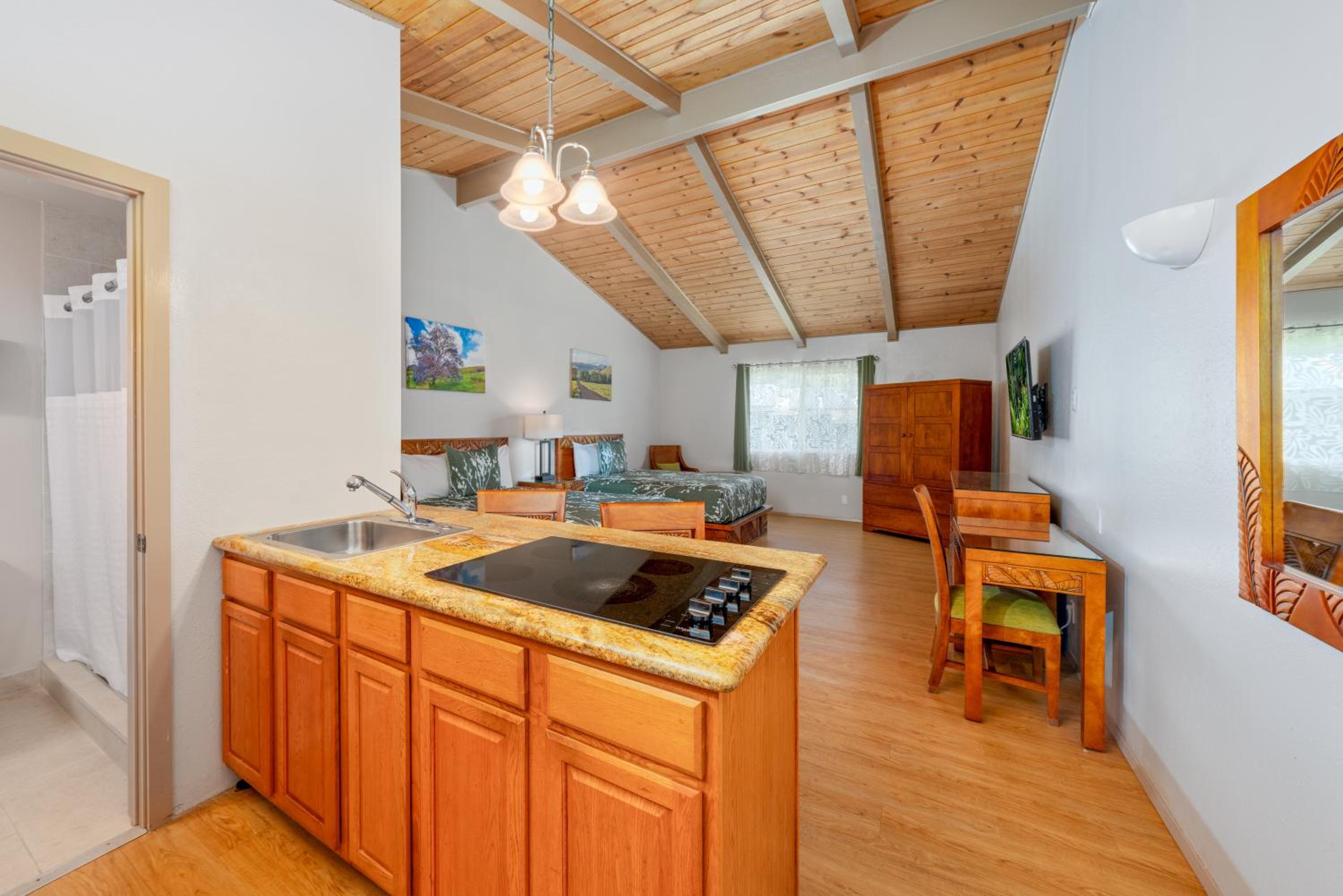 Studio with Kitchenette - Photo 14