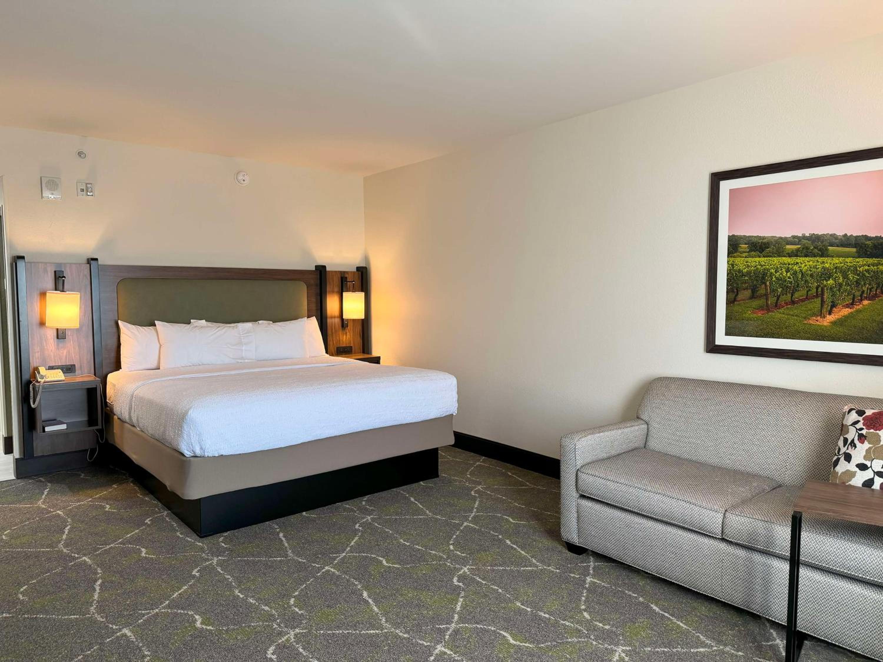 King Room with King Bed - Non-Smoking - Photo 3