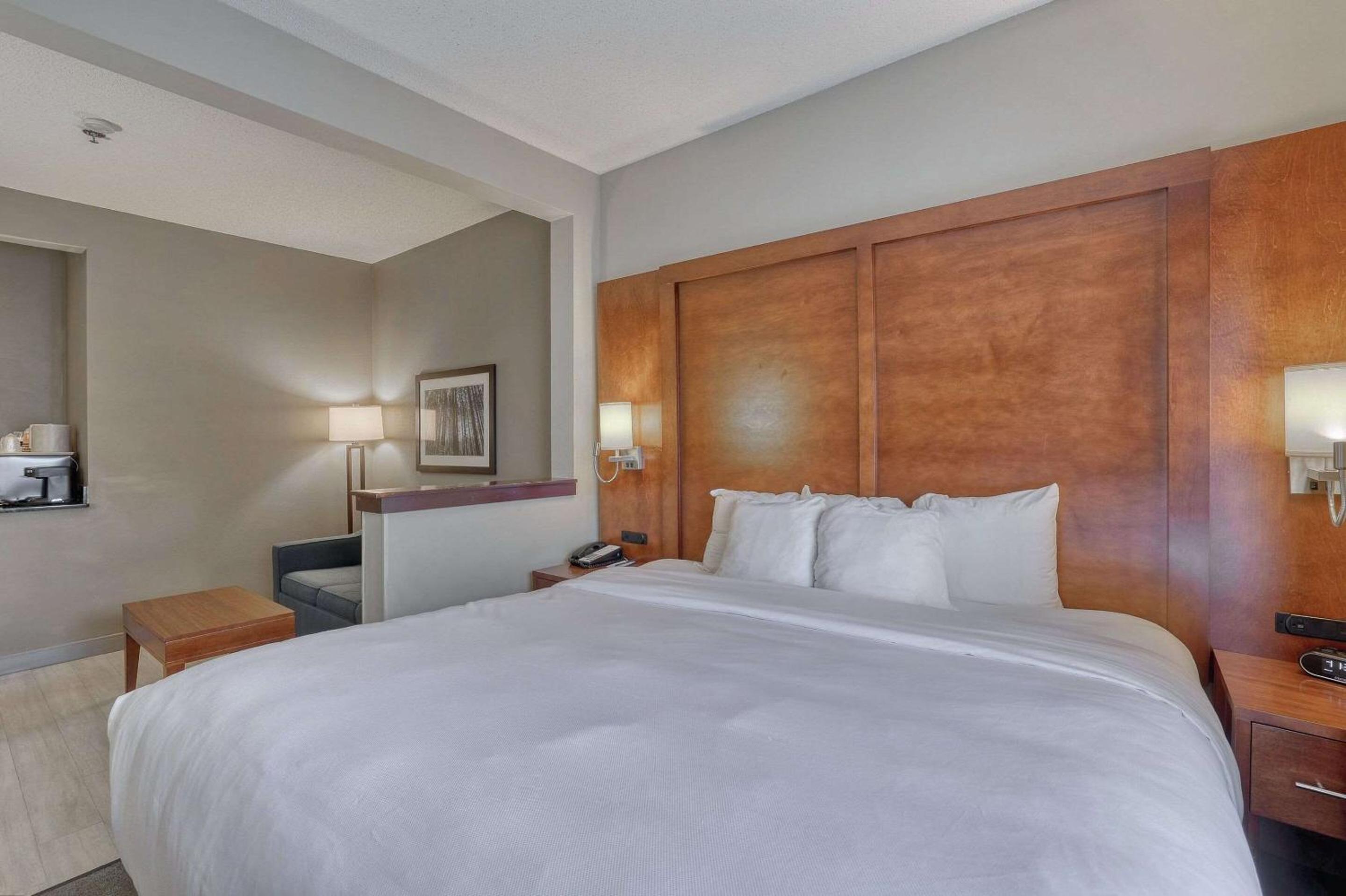 Standard King Suite - Non-Smoking - Photo 5