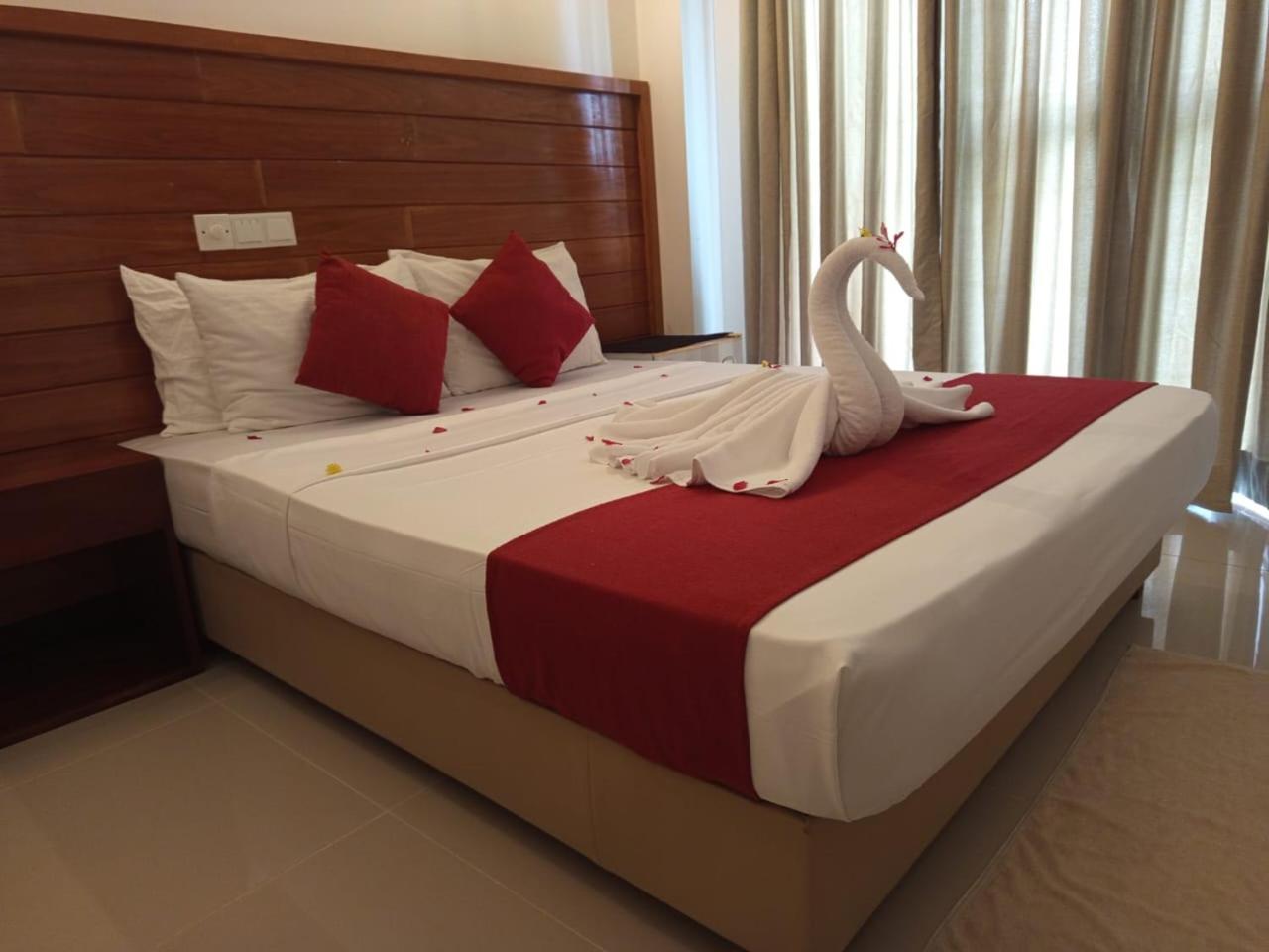 Deluxe Double Room photo 1