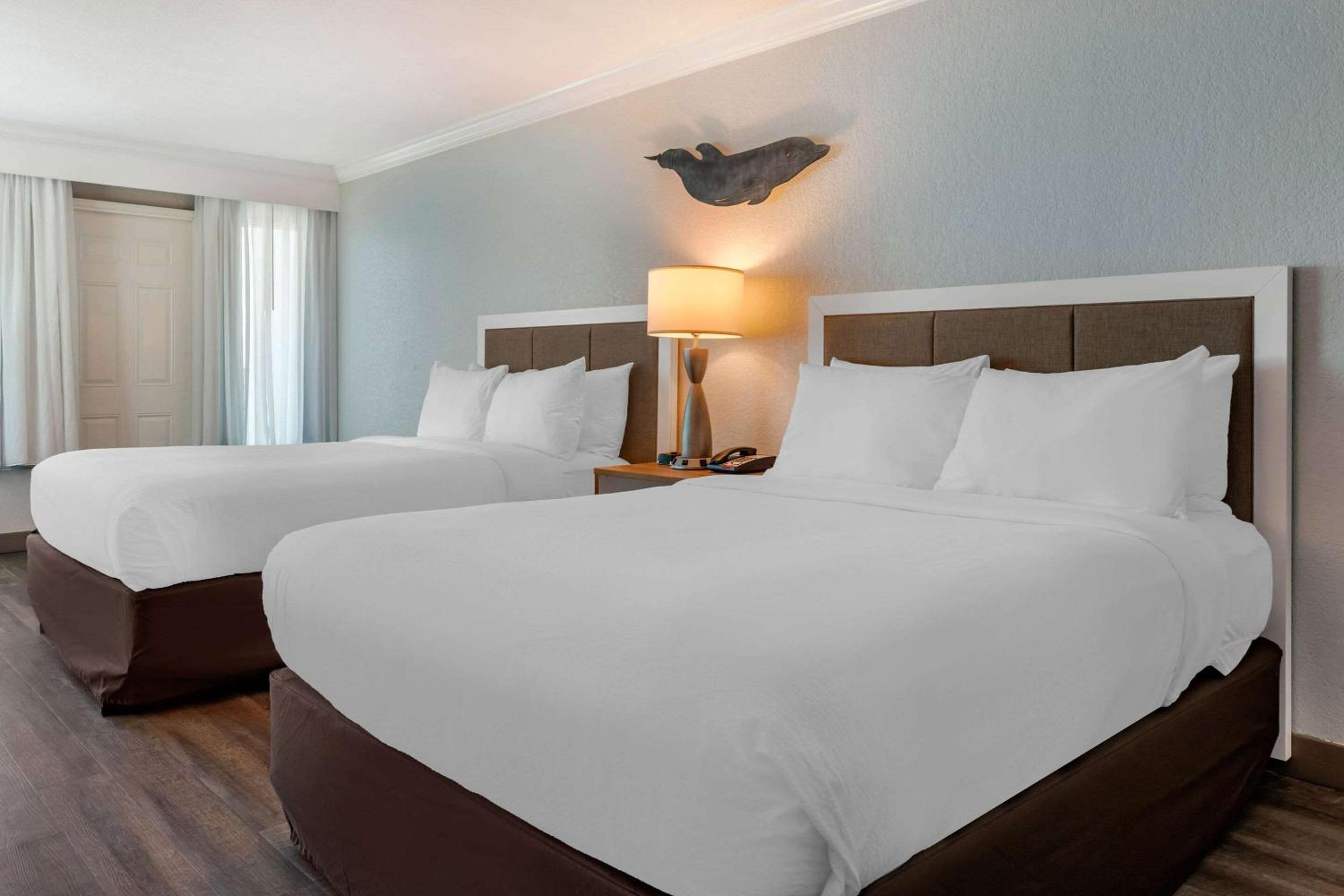 Queen Room with Two Queen Beds and City View - Non-Smoking