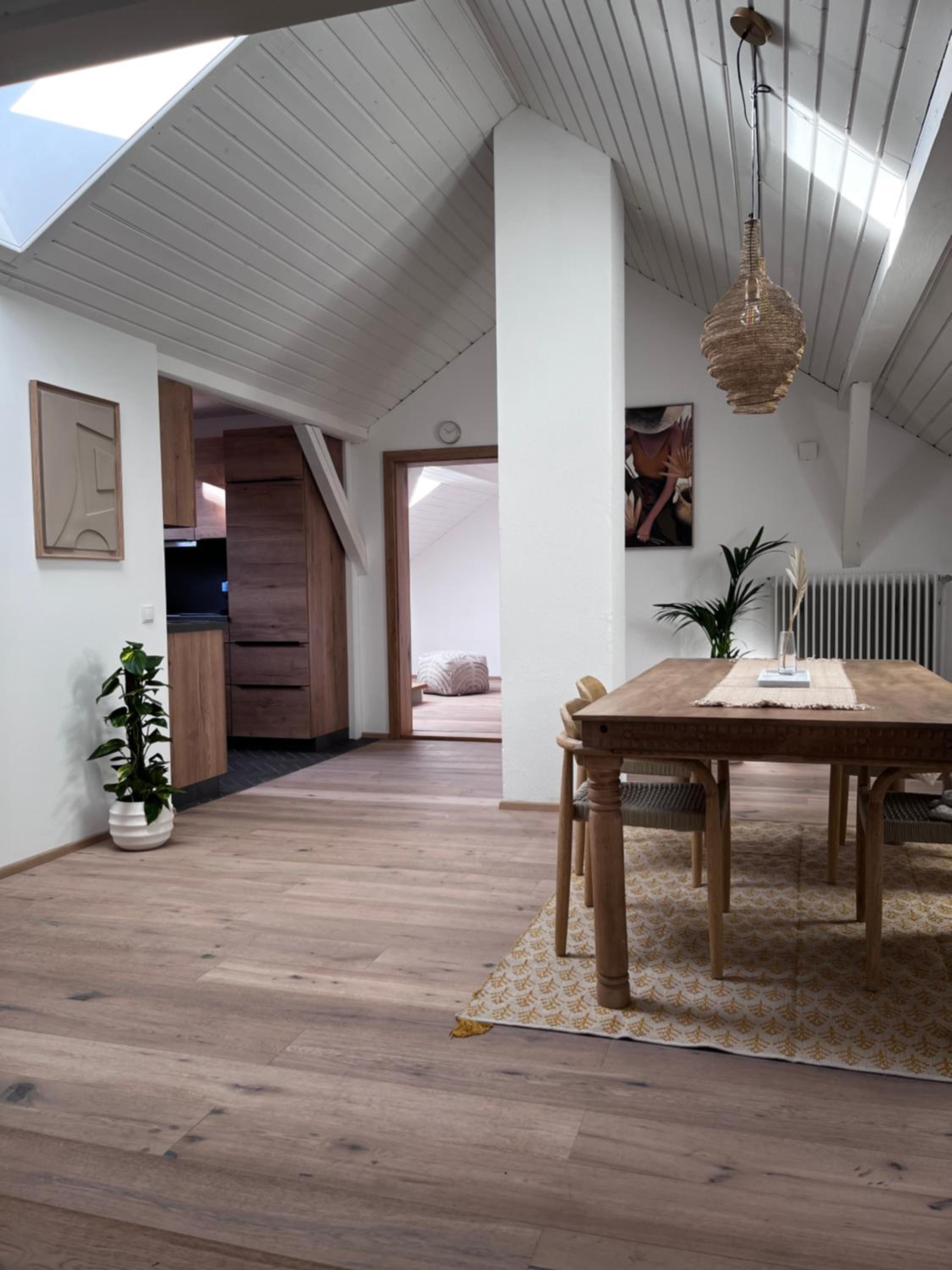 Duplex Apartment photo 2