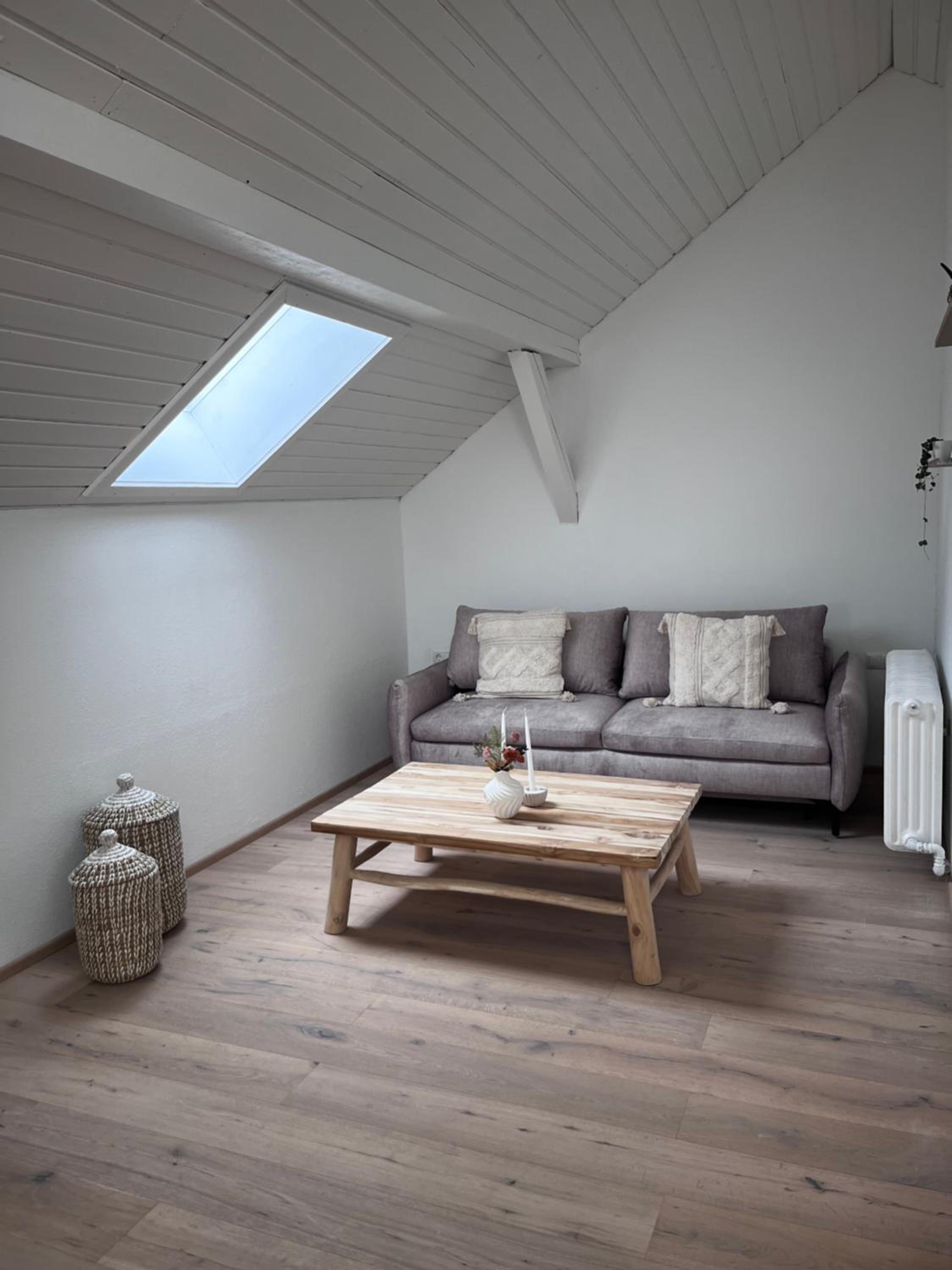 Duplex Apartment photo 3