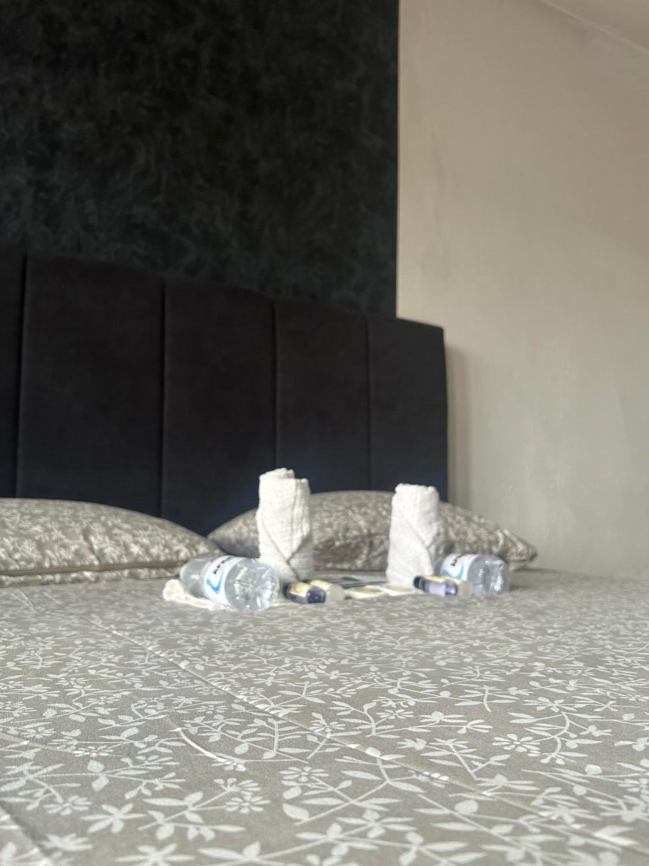 Deluxe Apartment photo 1