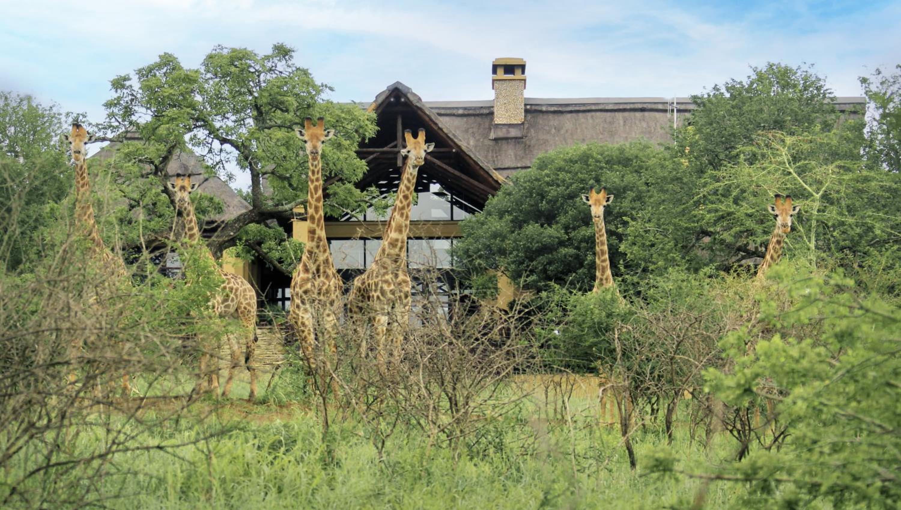 Villa iZulu photo 3