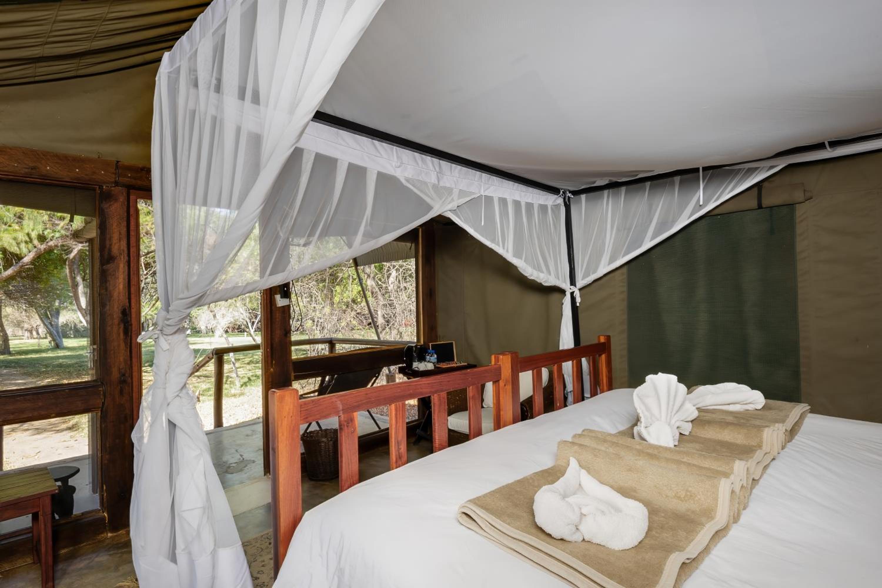 Tent with Forest View photo 1