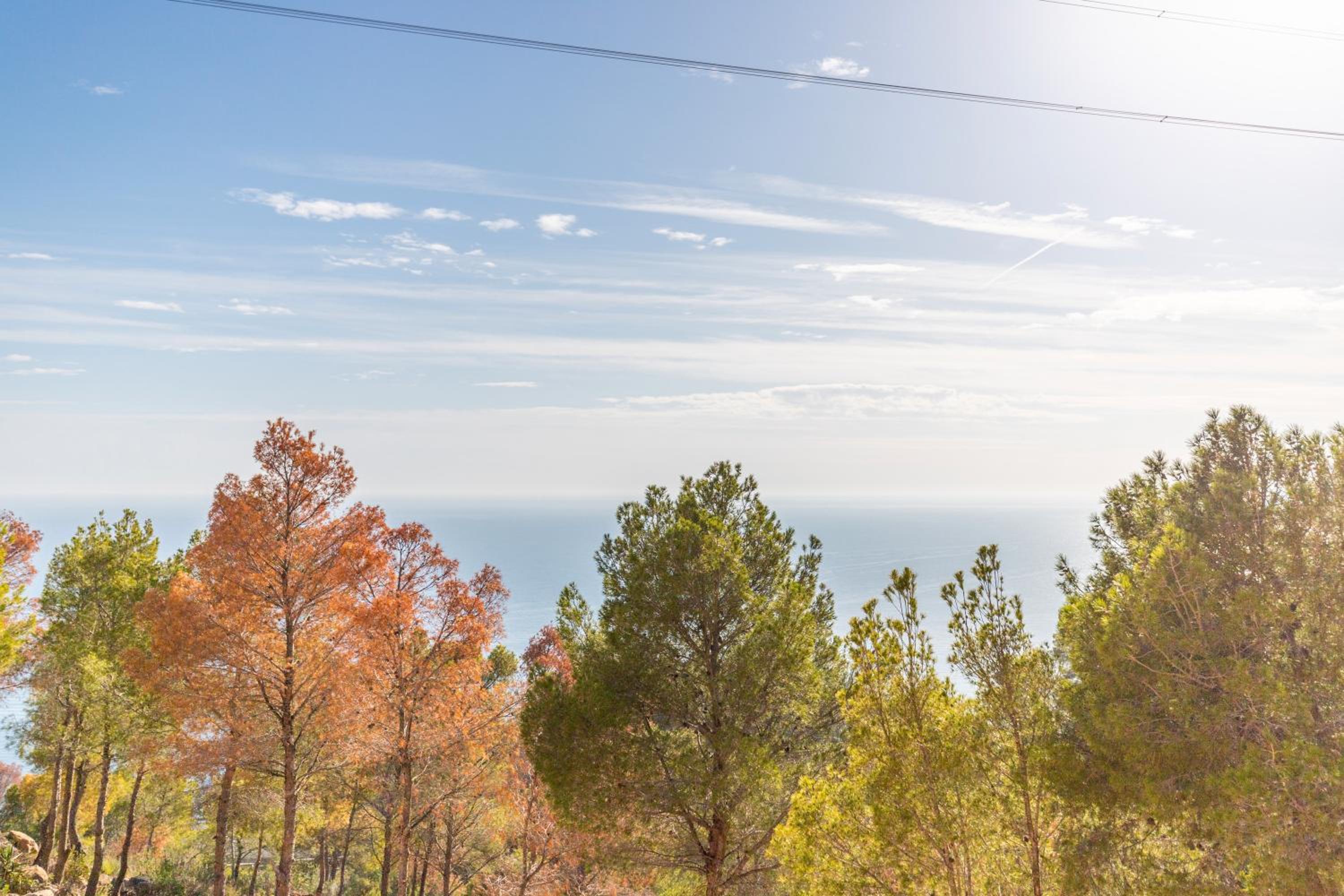 Villa with Sea View photo 3